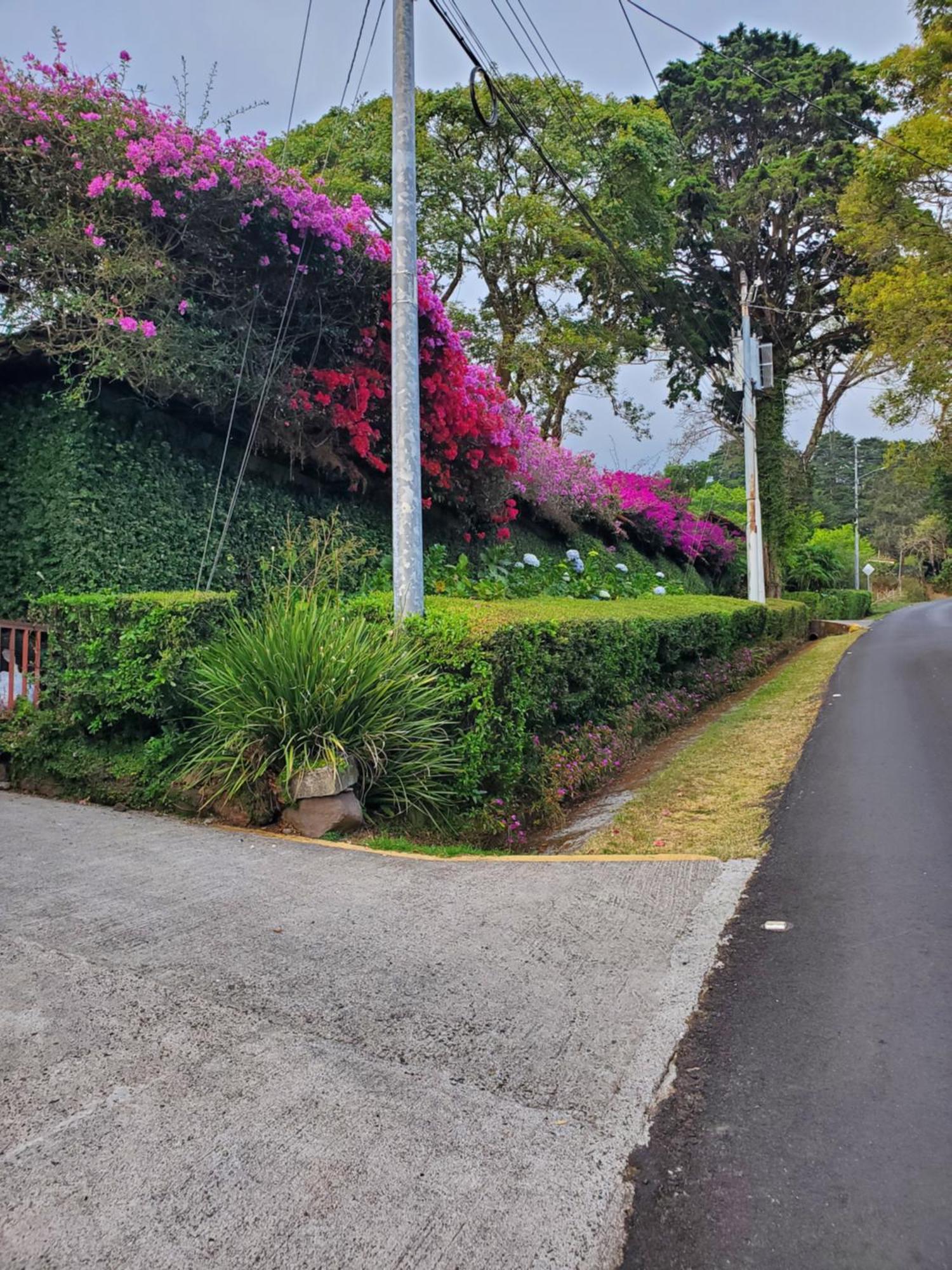 Finca Paraiso Mountain Retreat Near San Jose Airport Hotel Birri