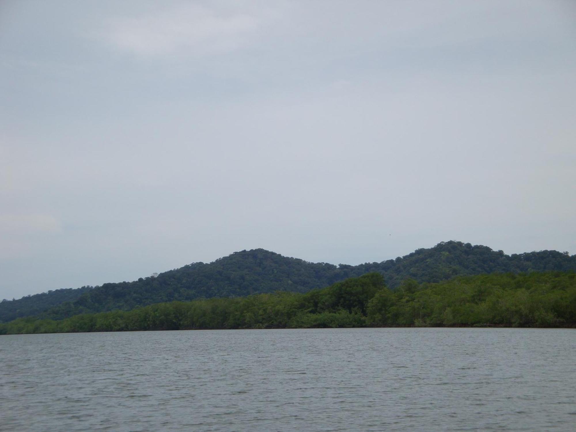 Isla Violin Eco-lodge Lodge *