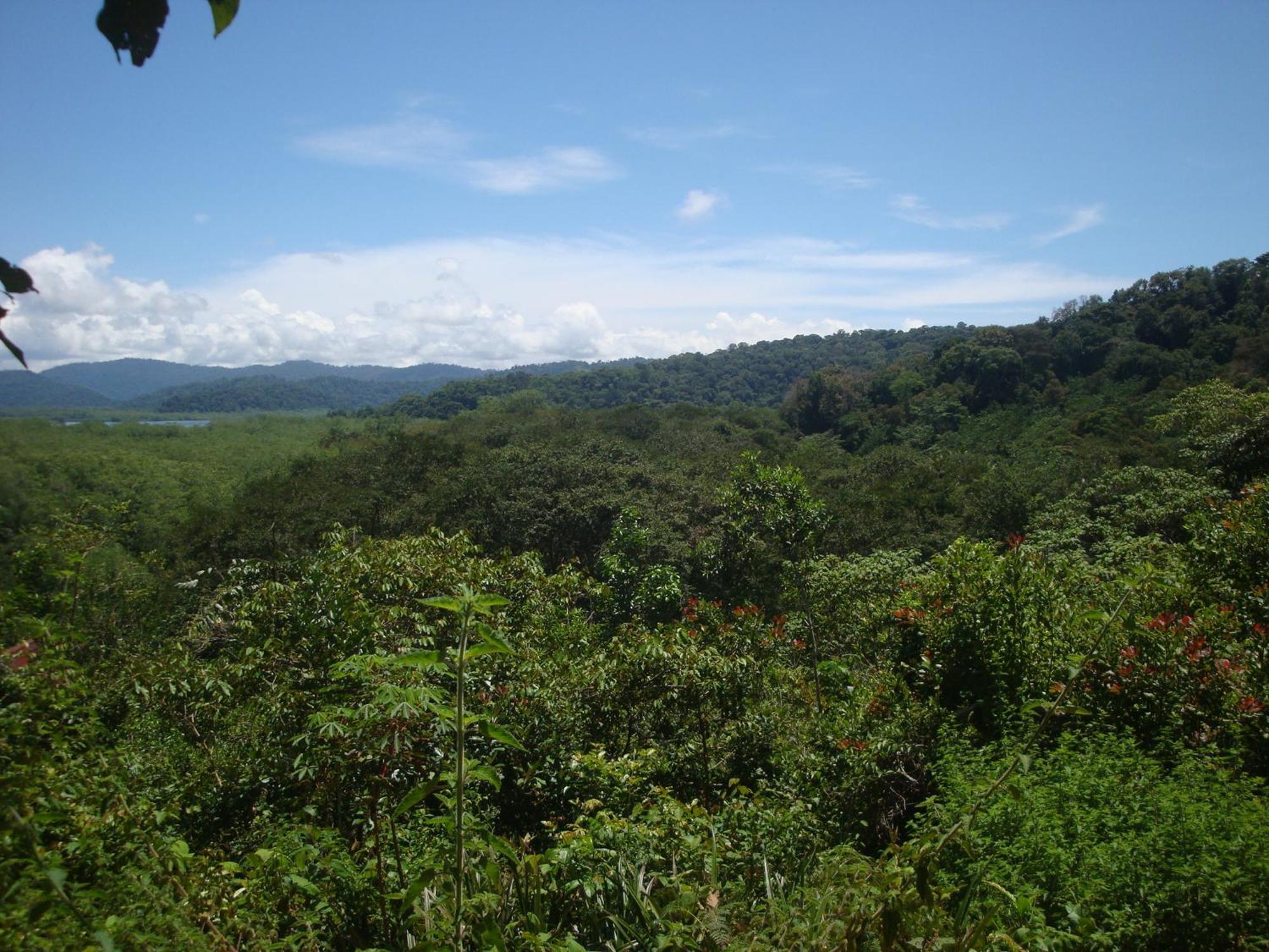 Isla Violin Eco-lodge Lodge *
