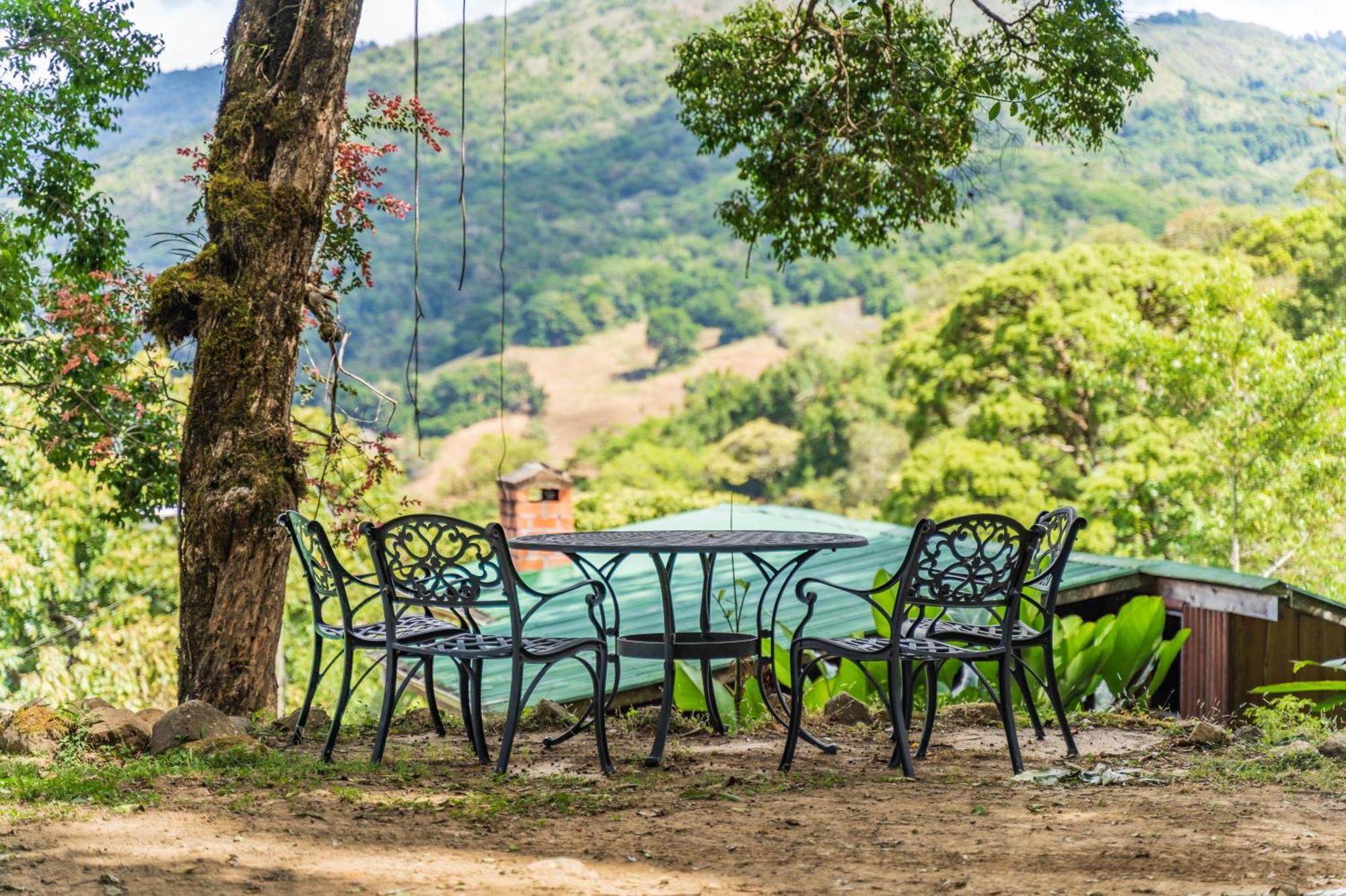 Cedrela Eco-lodge & Restaurante Copey