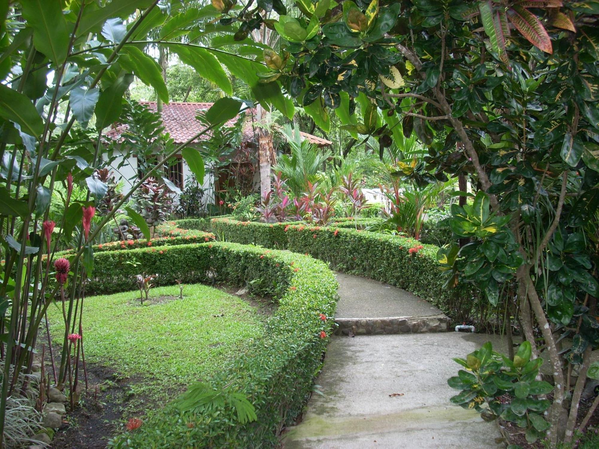 Hotel La Palapa Portalon