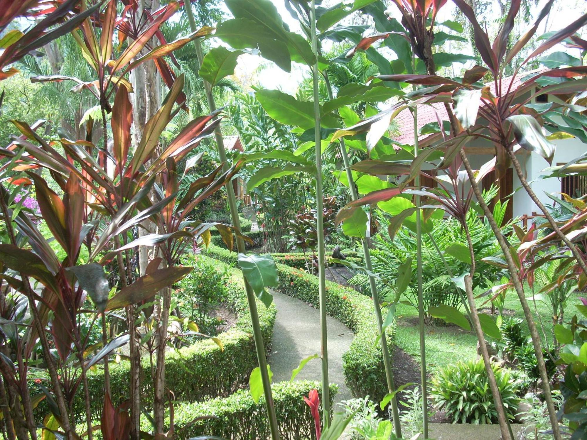 La Palapa Portalon