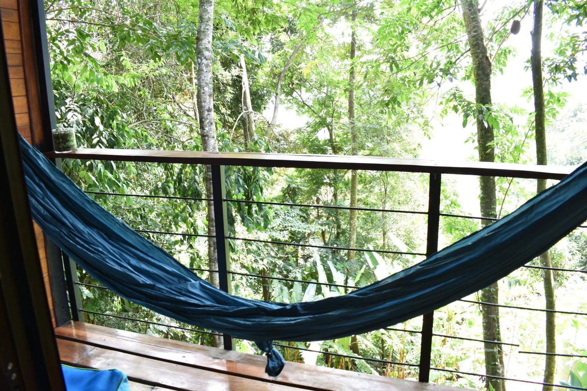 Selva Madre Eco-sanctuary