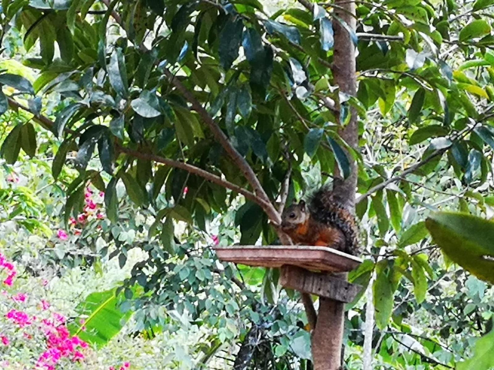 Casa Marlui-san Jose Homestay