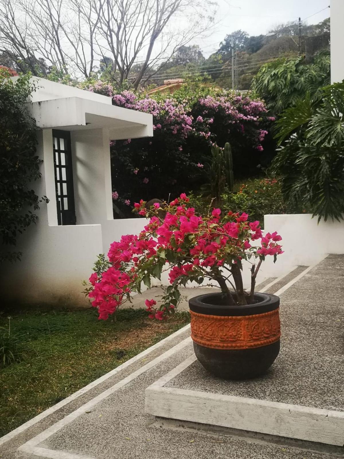 Homestay Casa Marlui-san Jose Curridabat