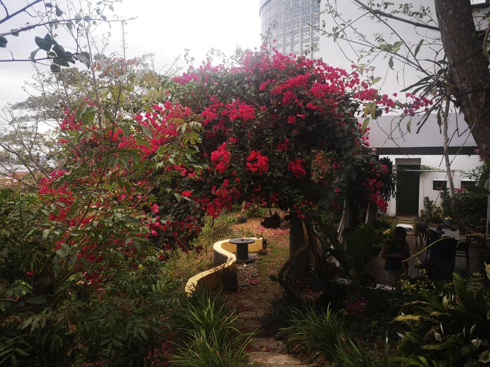Casa Marlui-san Jose Homestay