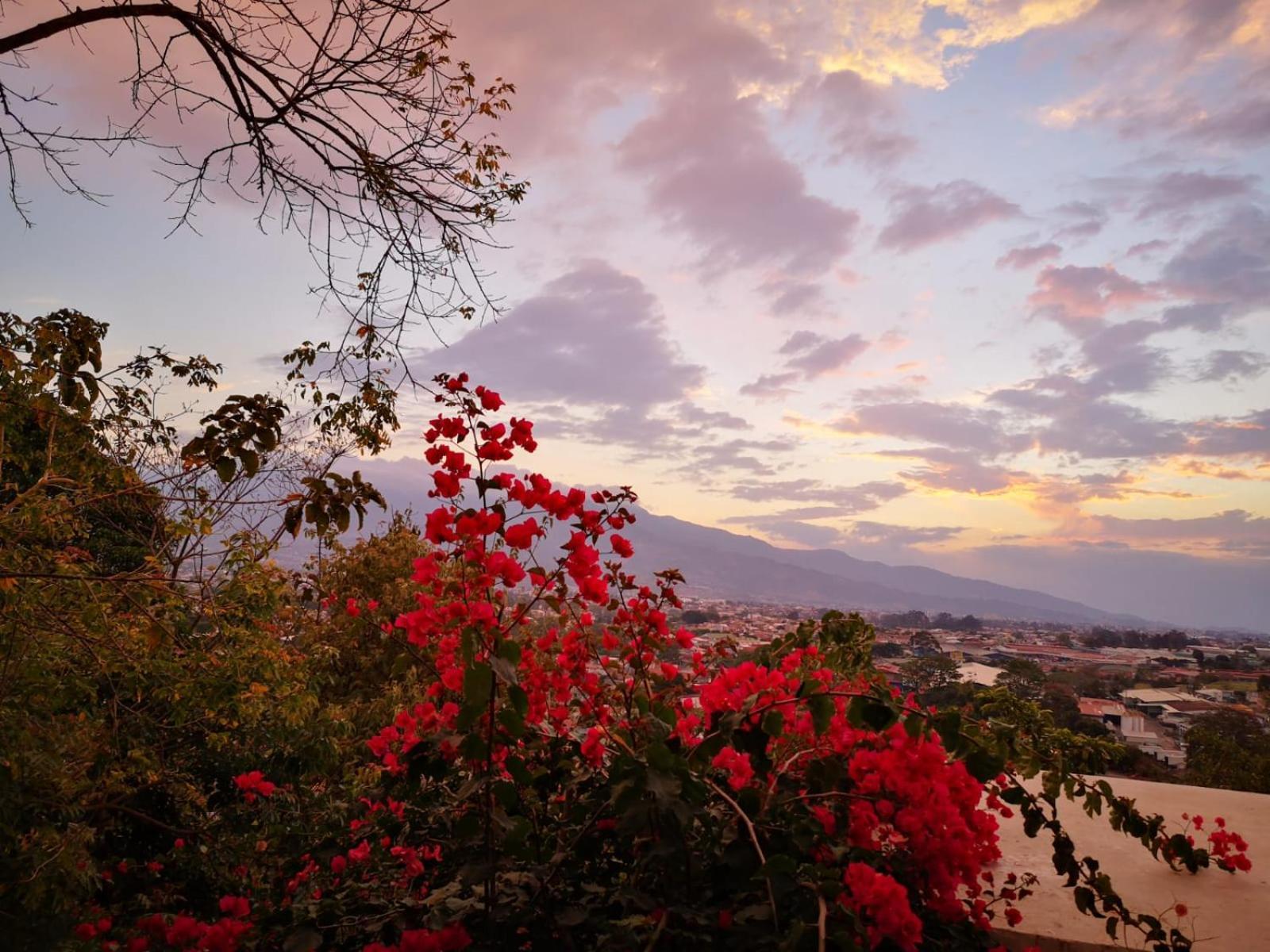 Casa Marlui-san Jose Homestay Curridabat