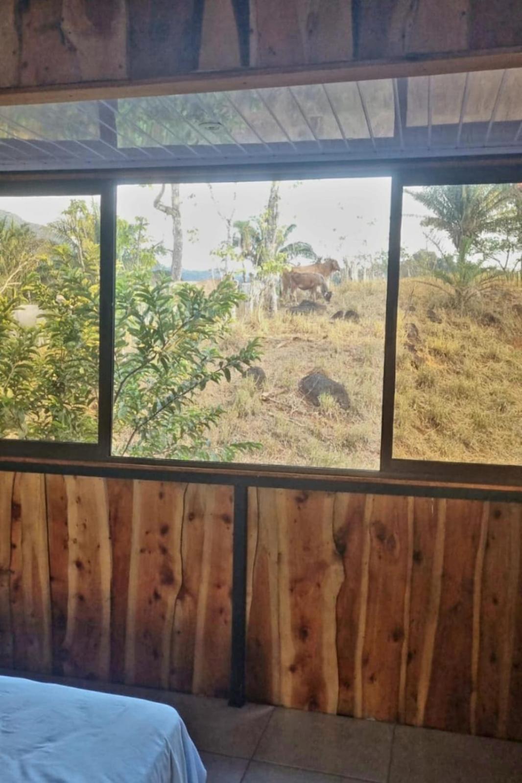 Guest house Sl