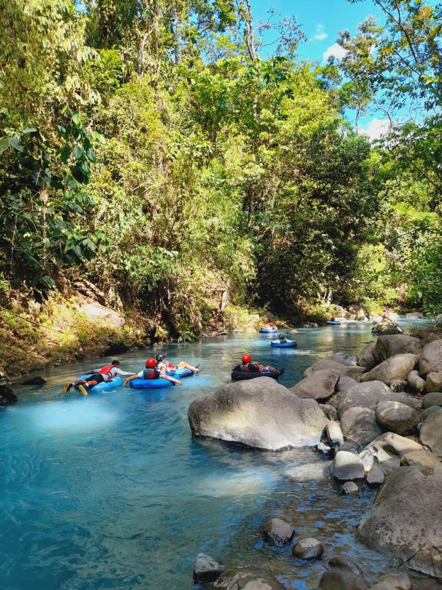 Onca Tours & Treehouses *