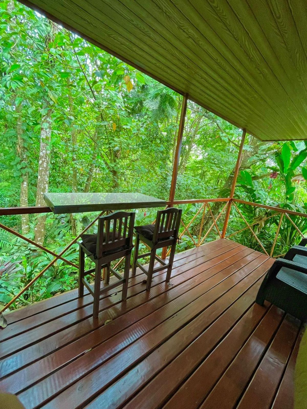 El Bosque Del Arenal Apartment *