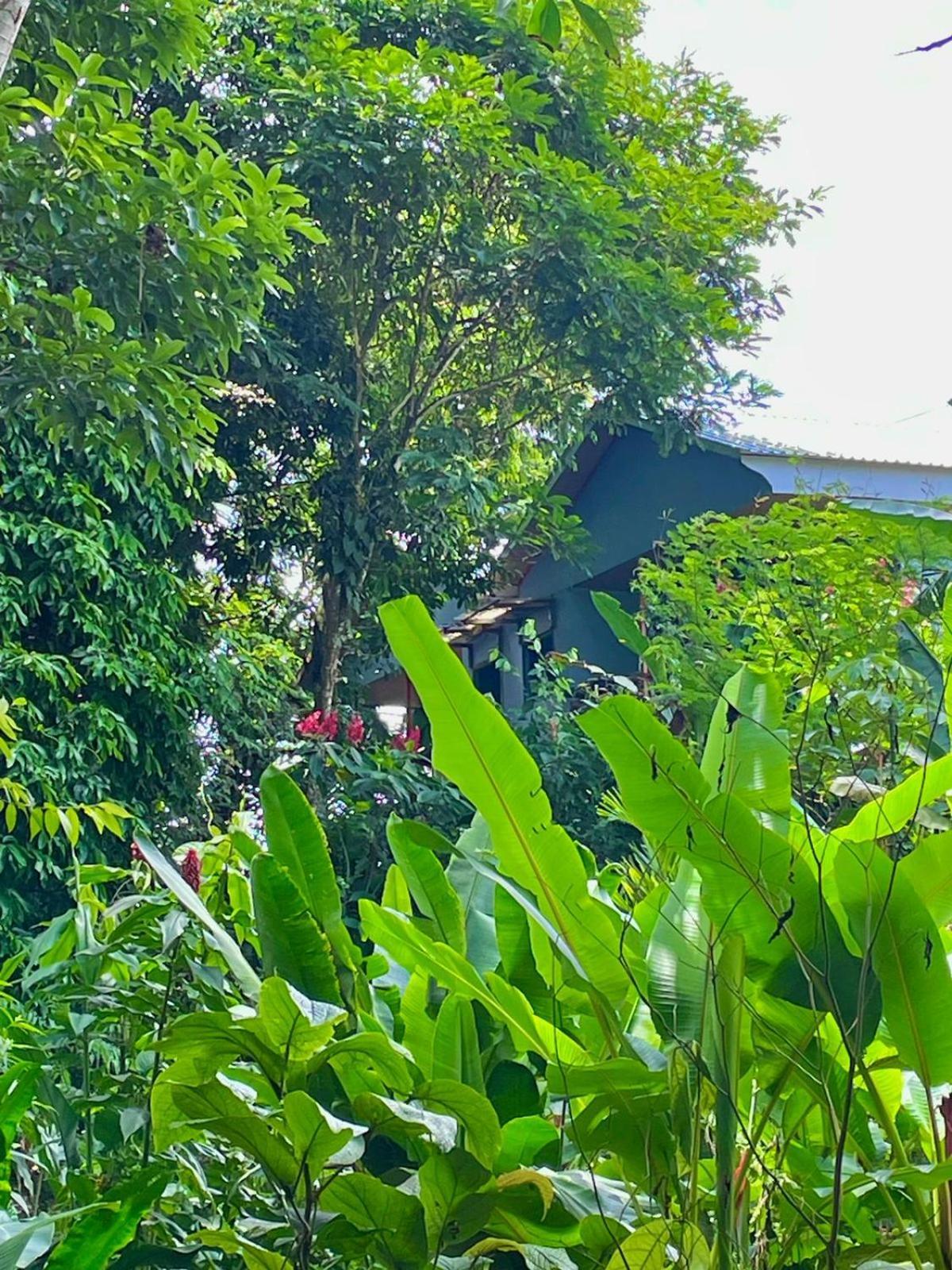 El Bosque Del Arenal Apartment *