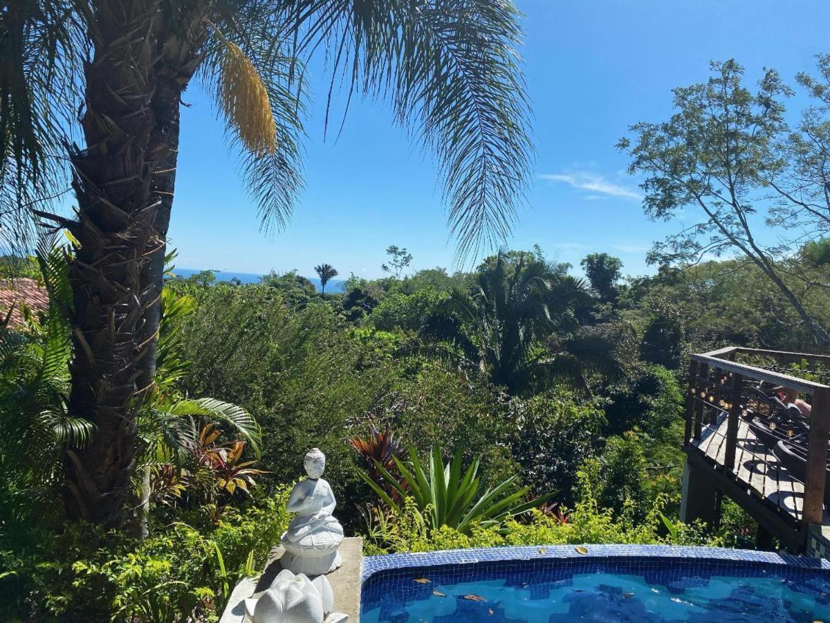 Caballos Hotel Montezuma