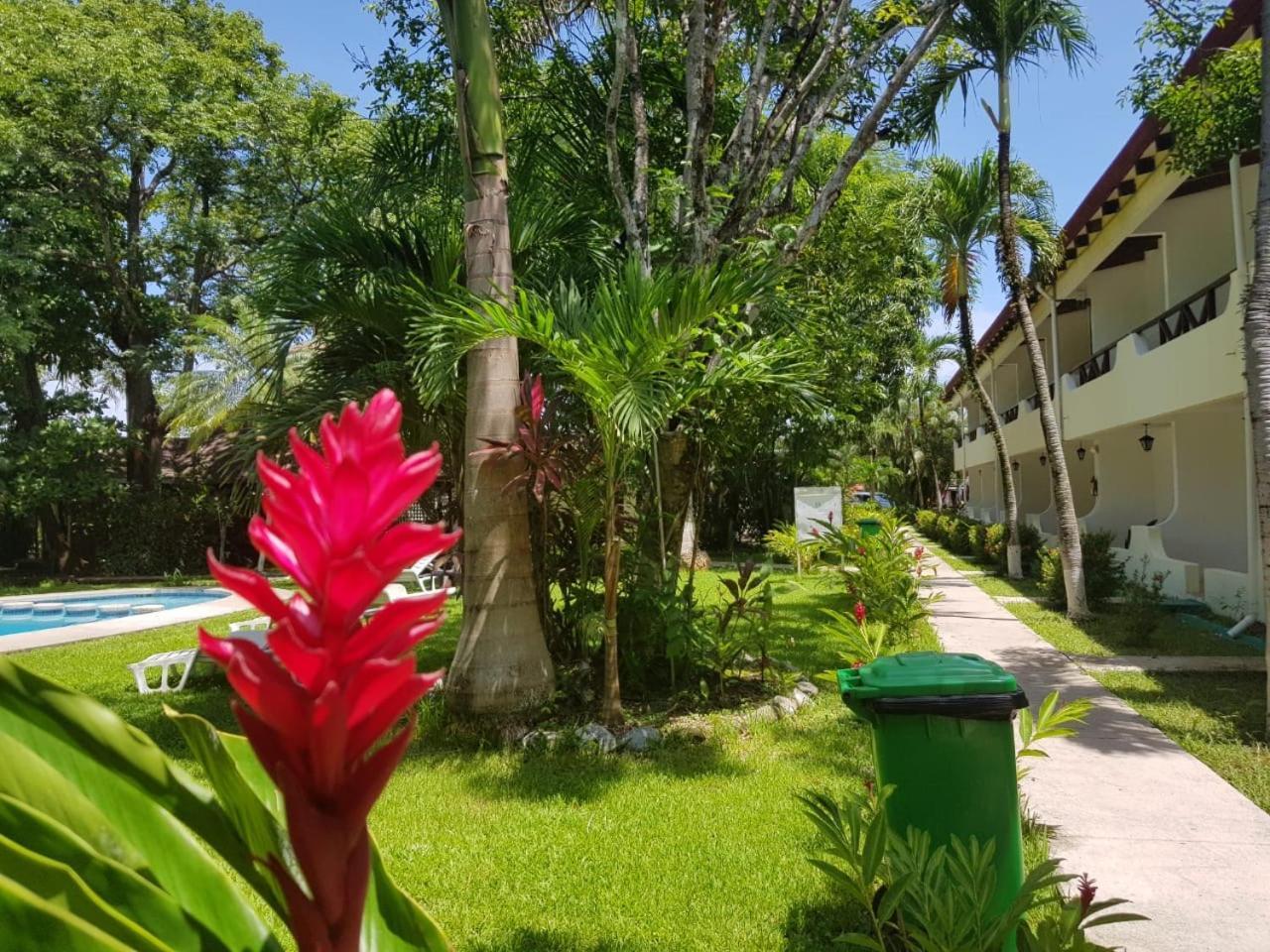 Hotel Samara Beach Hotel 3*