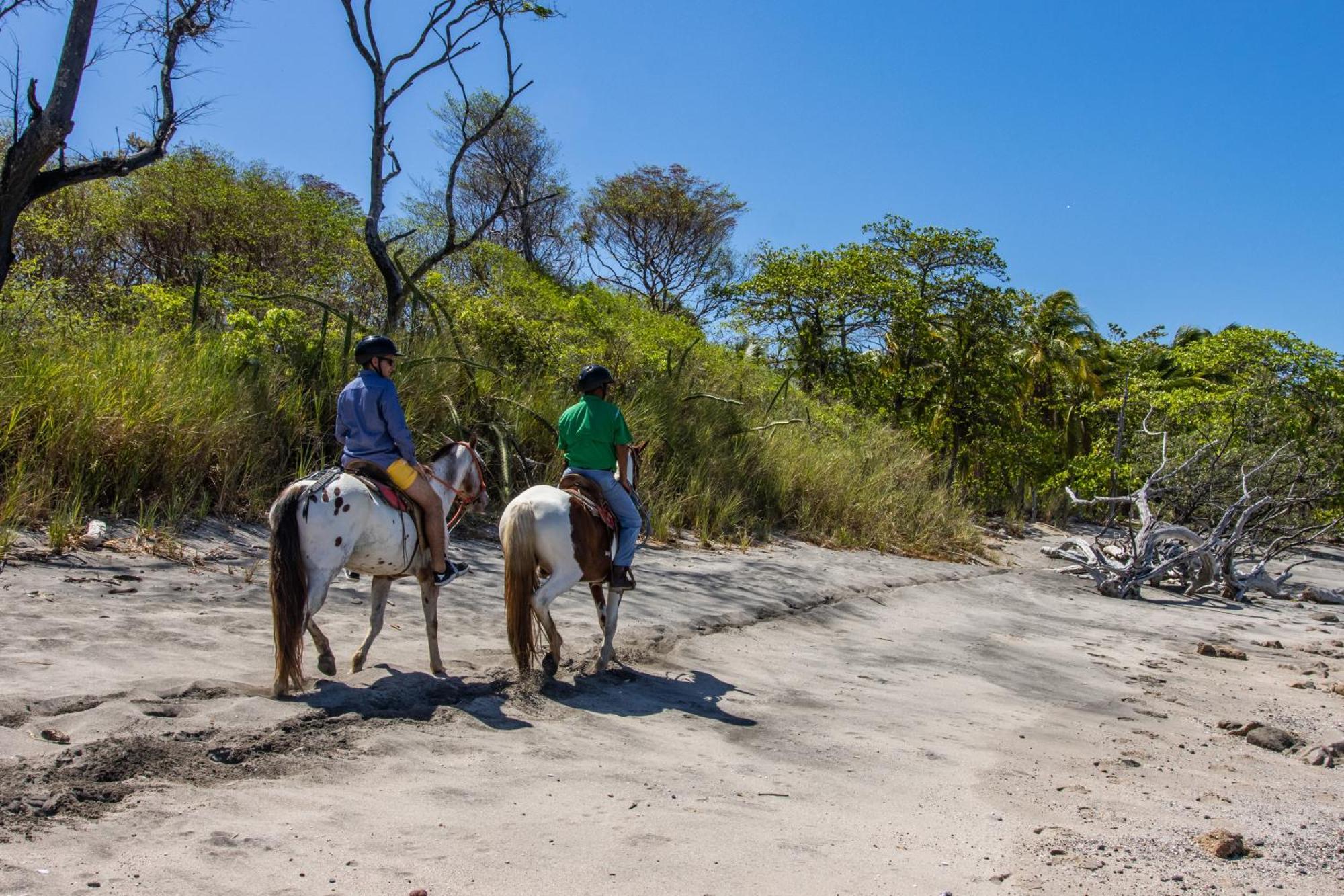 Luxury Vacation At Hacienda Pinilla Villa *