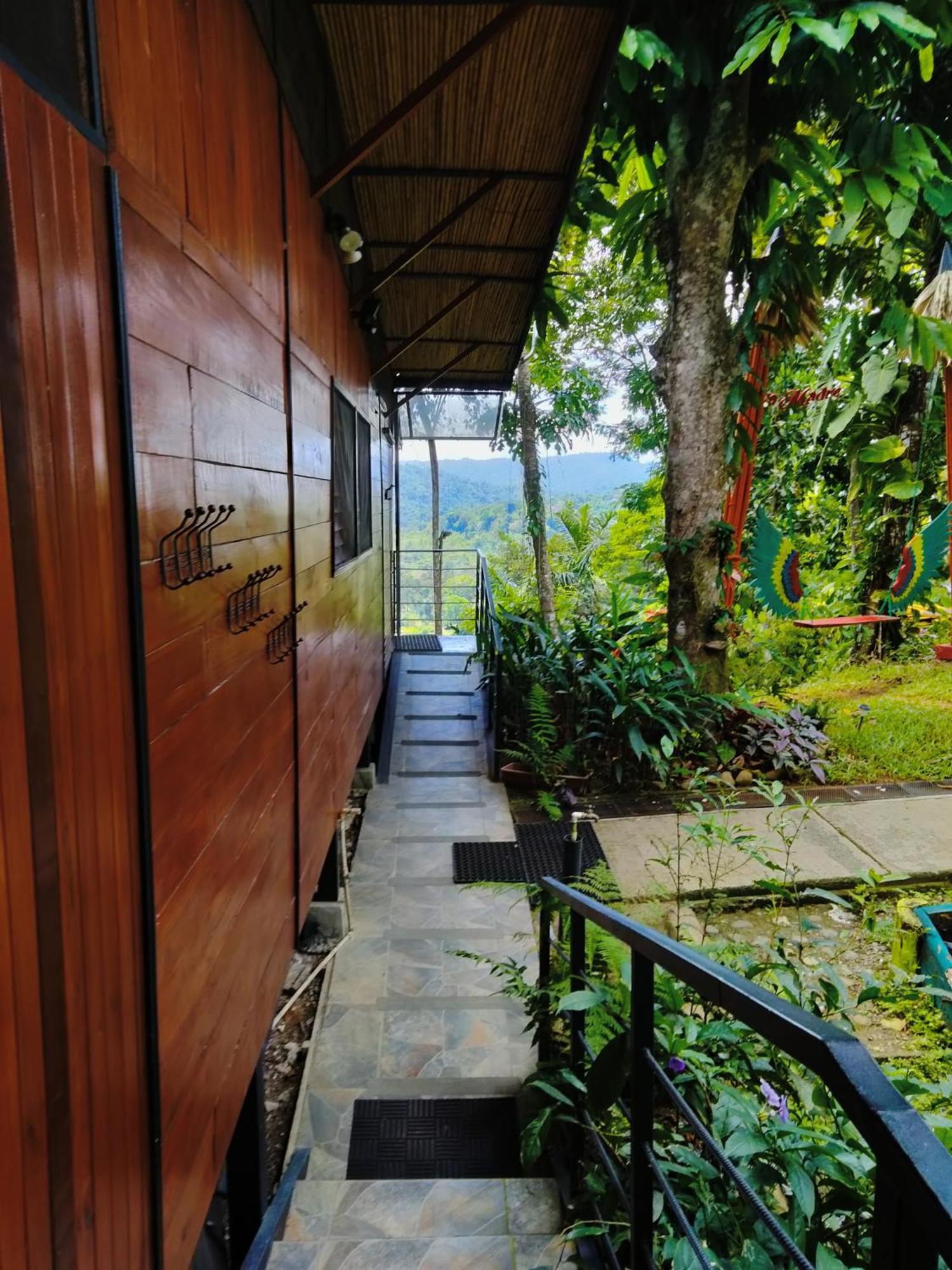 Selva Madre Eco-sanctuary Aparthotel