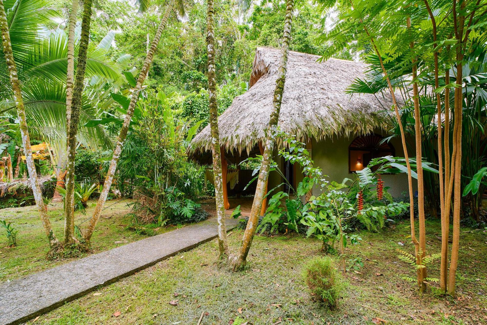 Cariblue And Jungle Hotel