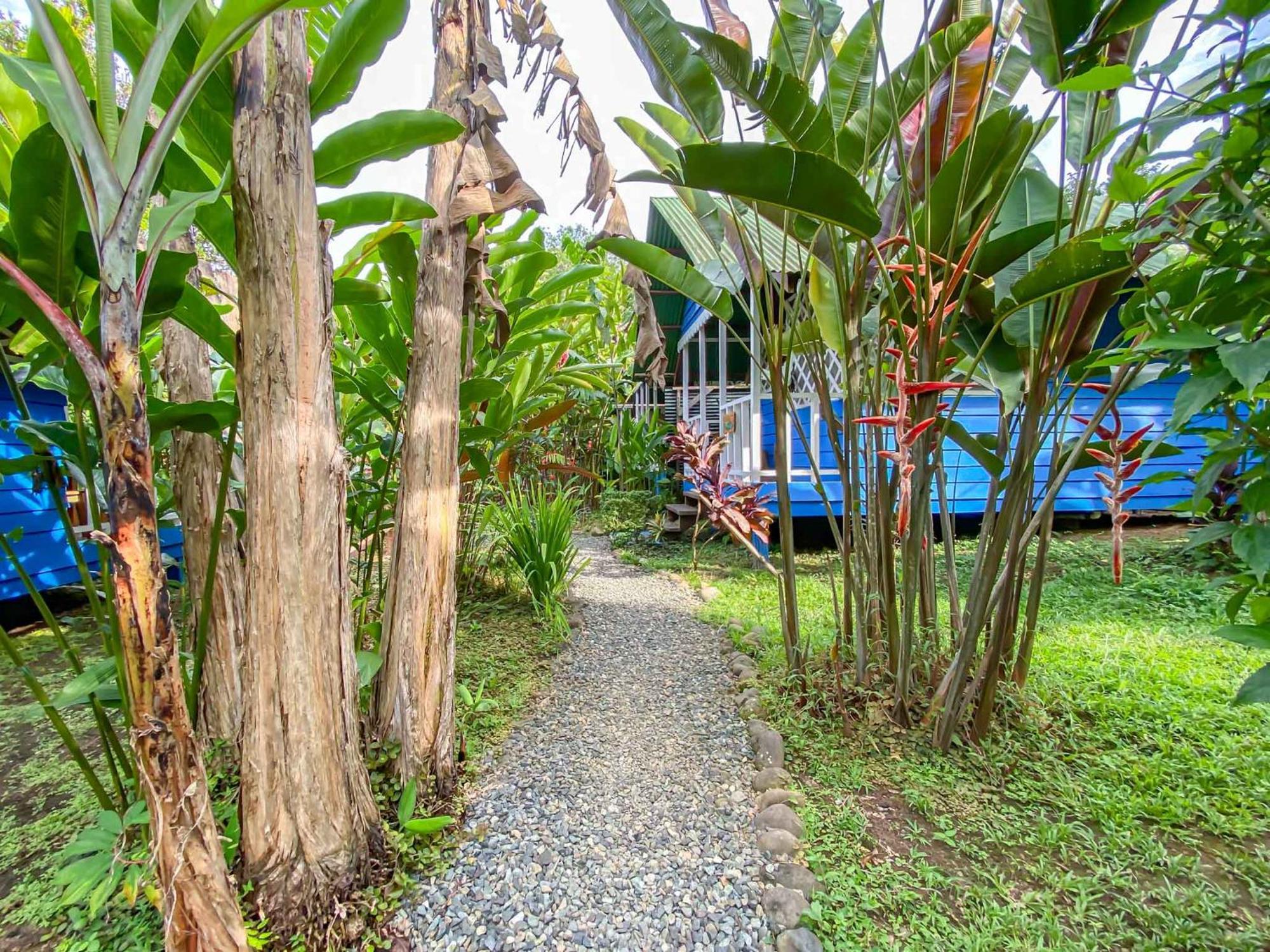 Casitas Mar Y Luz * Puerto Viejo de Talamanca