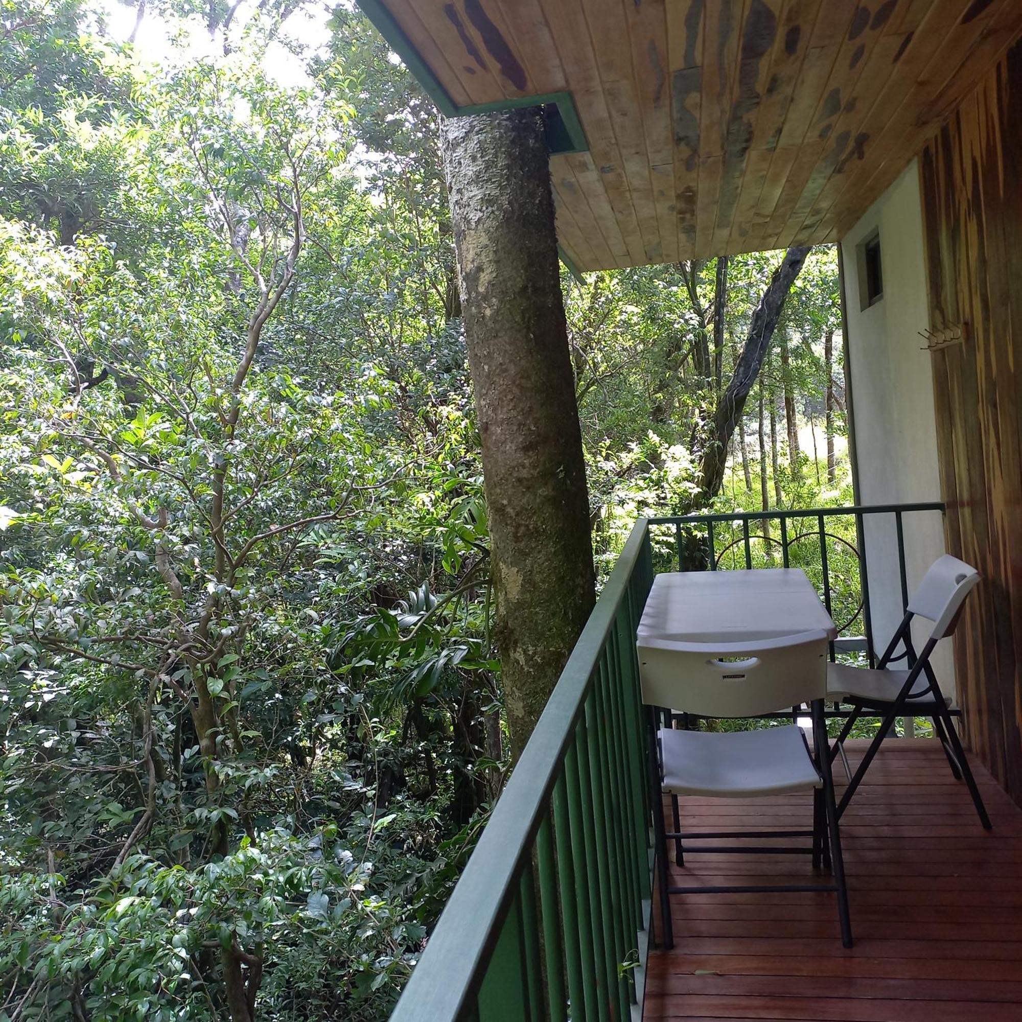 Romantic Monteverde