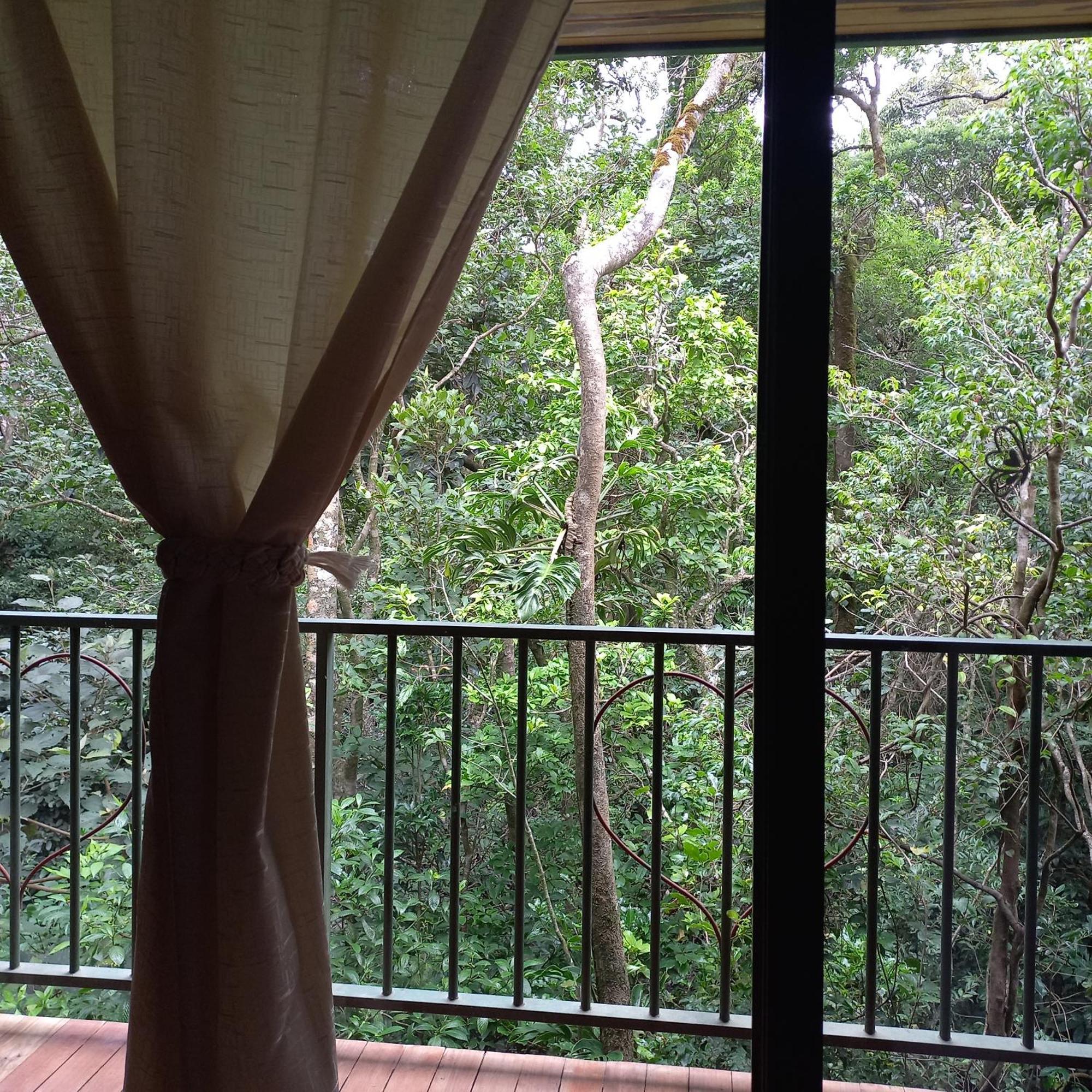Romantic Monteverde