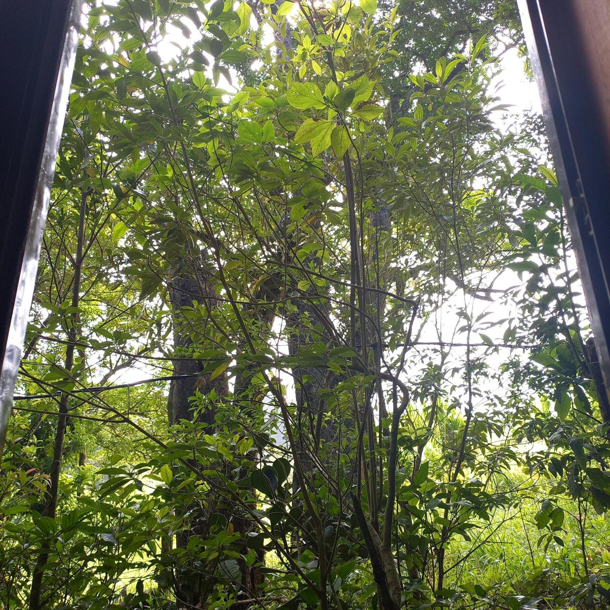 Holiday home Romantic Monteverde
