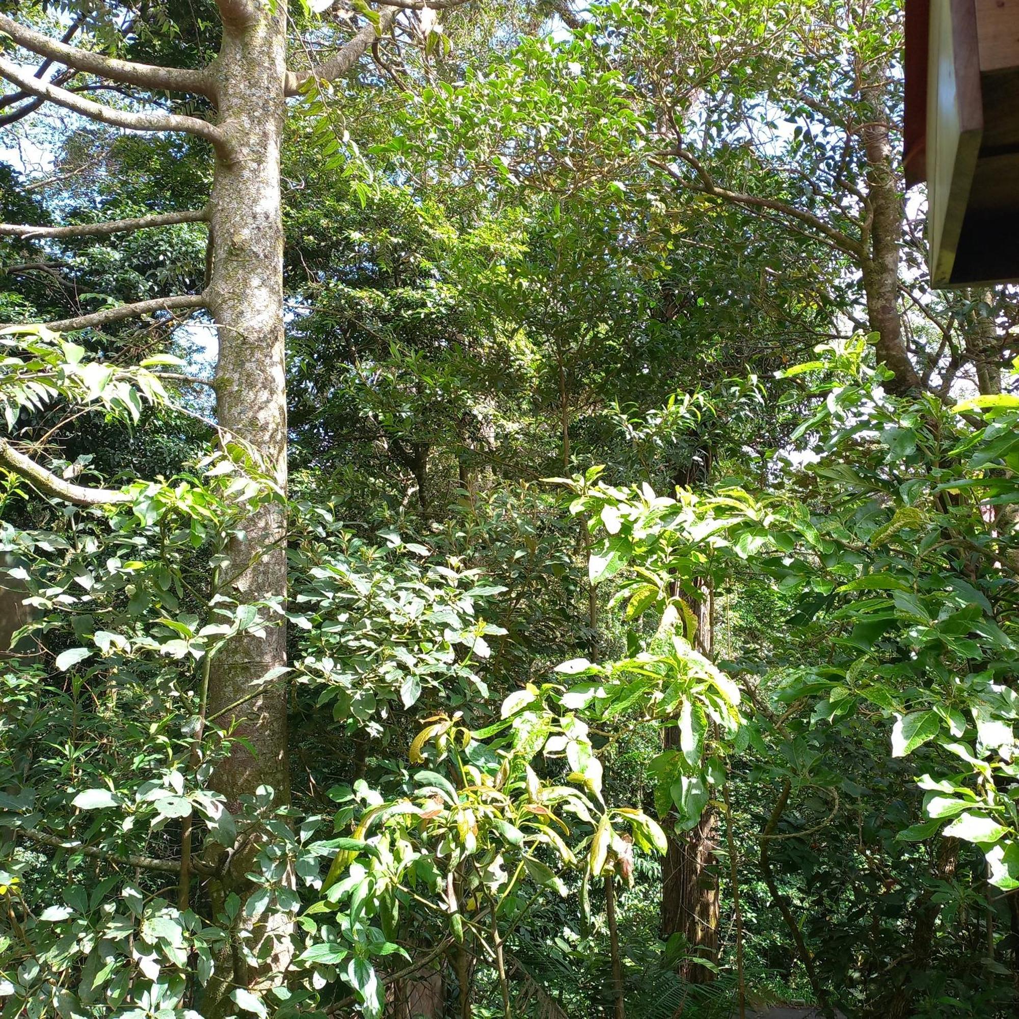 Romantic Holiday home Monteverde