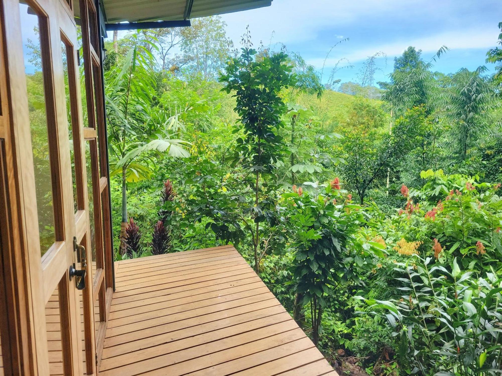 Lodge Cascada Elysiana