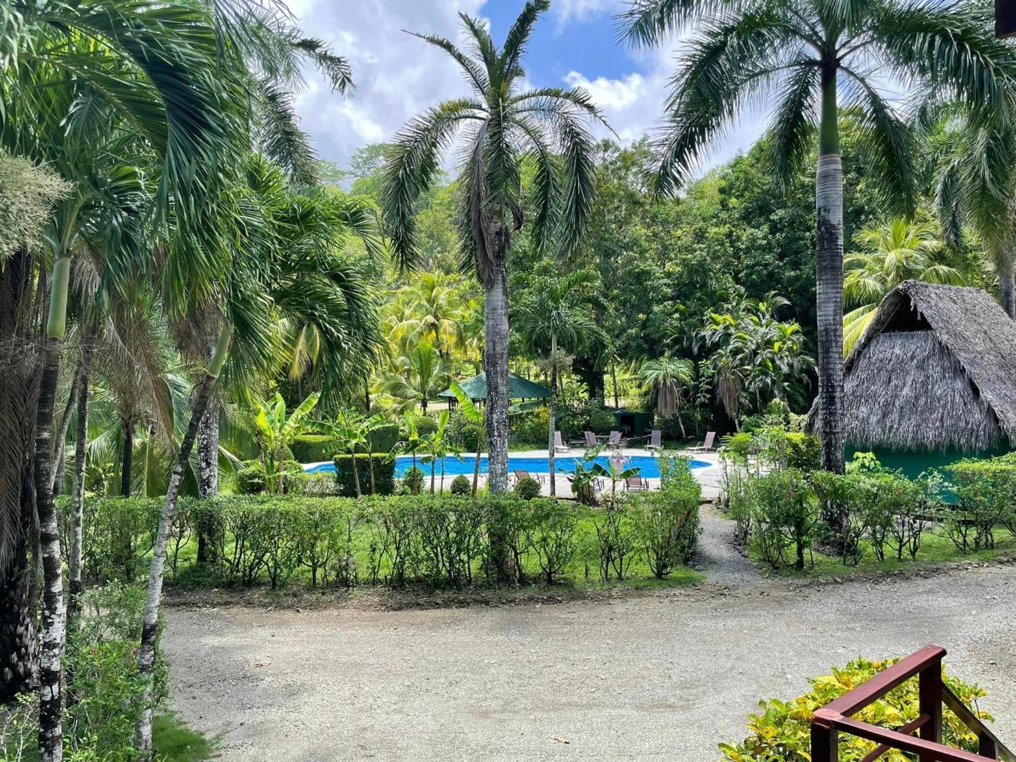 Mal Pais Surf Camp Hotel Playa Santa Teresa (Puntarenas)