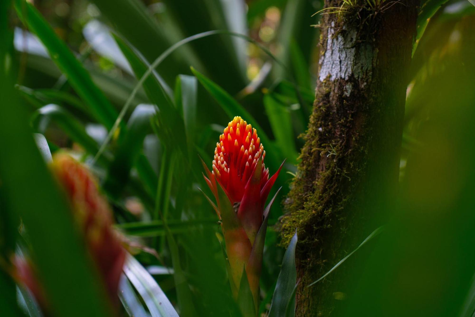 Jardines Secretos Rivas
