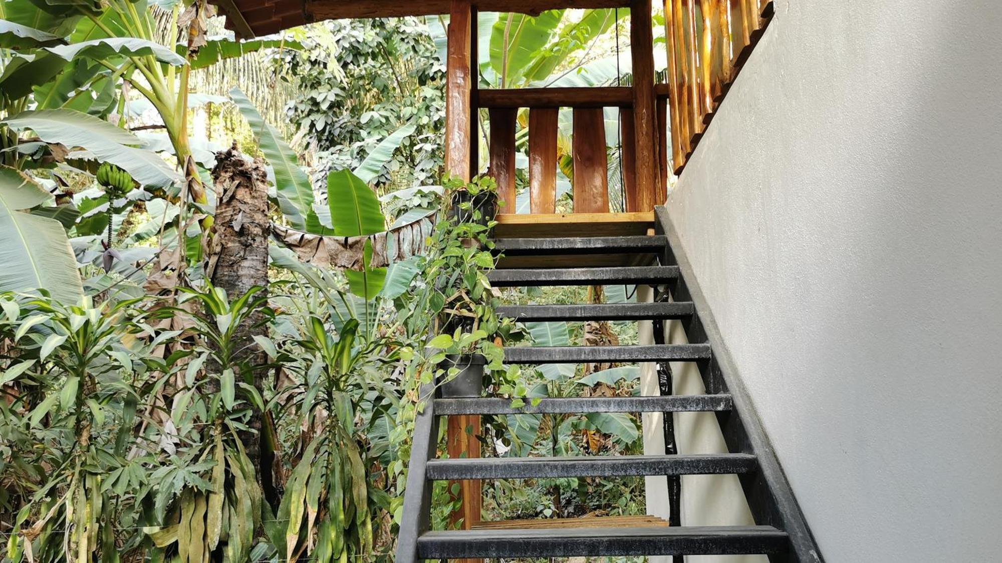 Apartment Colibri - 4 Min Walk To The Beach! Playa Santa Teresa (Puntarenas)