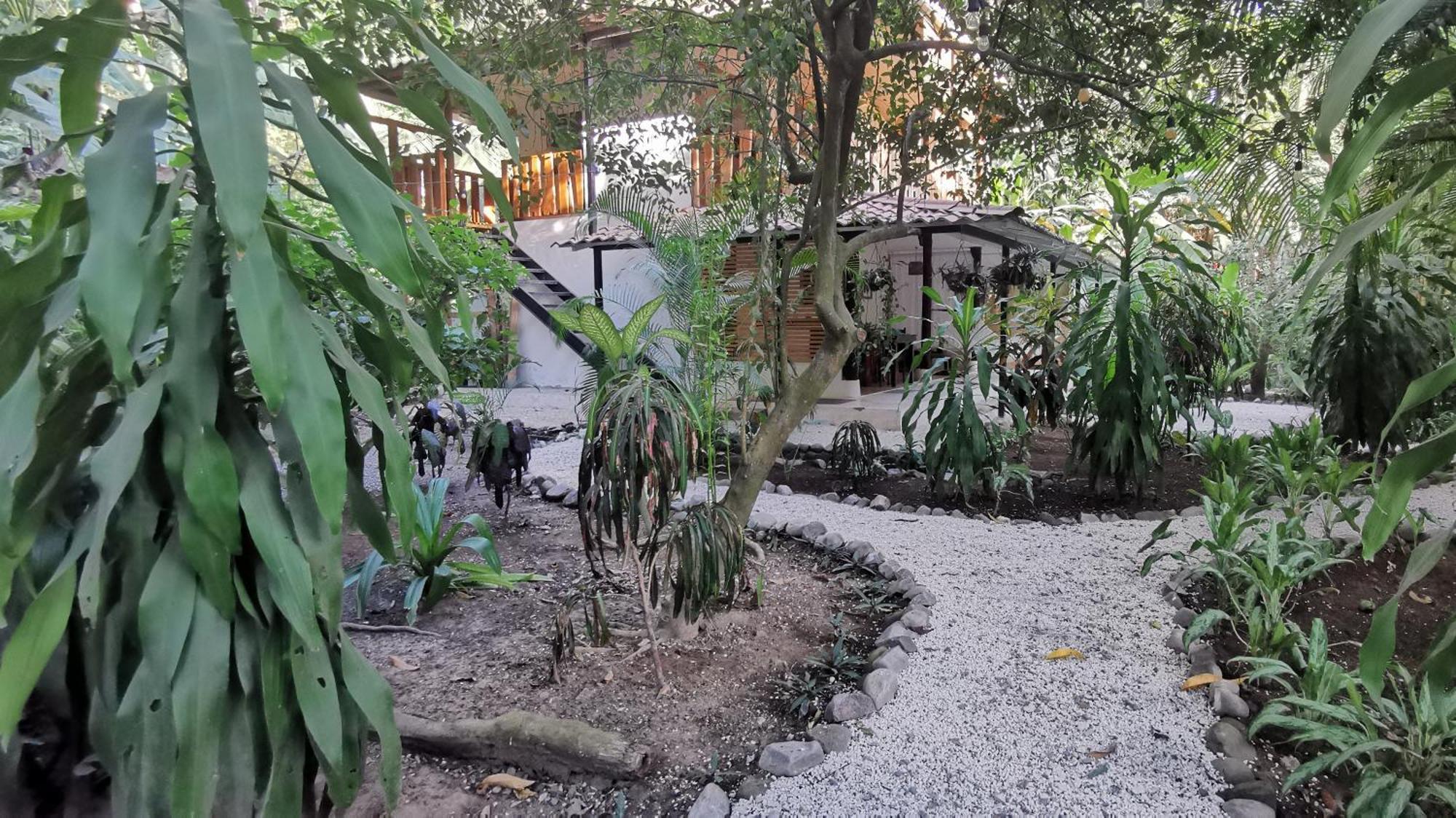 Apartment Colibri - 4 Min Walk To The Beach! Playa Santa Teresa (Puntarenas)