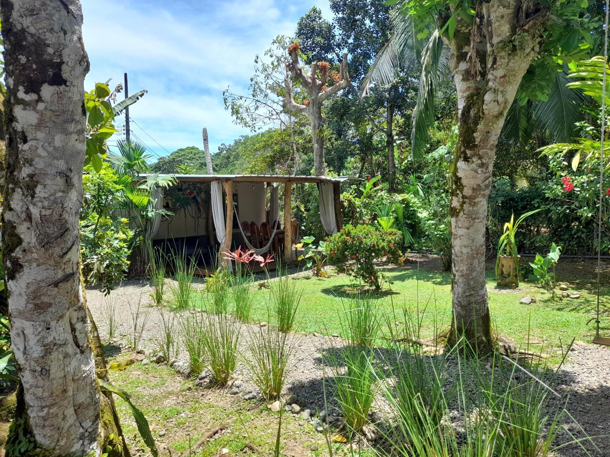 Hotel El Colibri Rojo - Cabinas - Le Colibri Rouge Bed & Breakfast