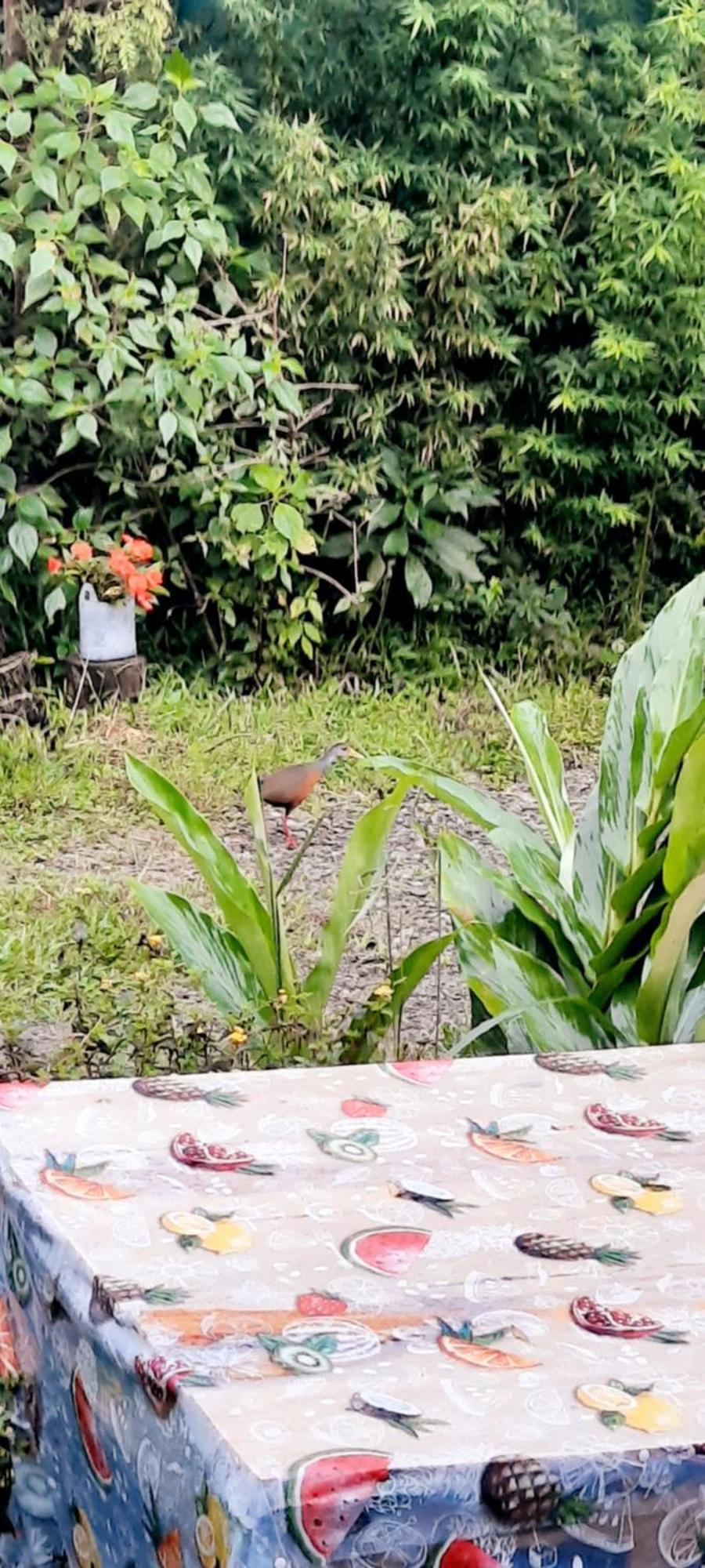 Holiday home Romantic Monteverde