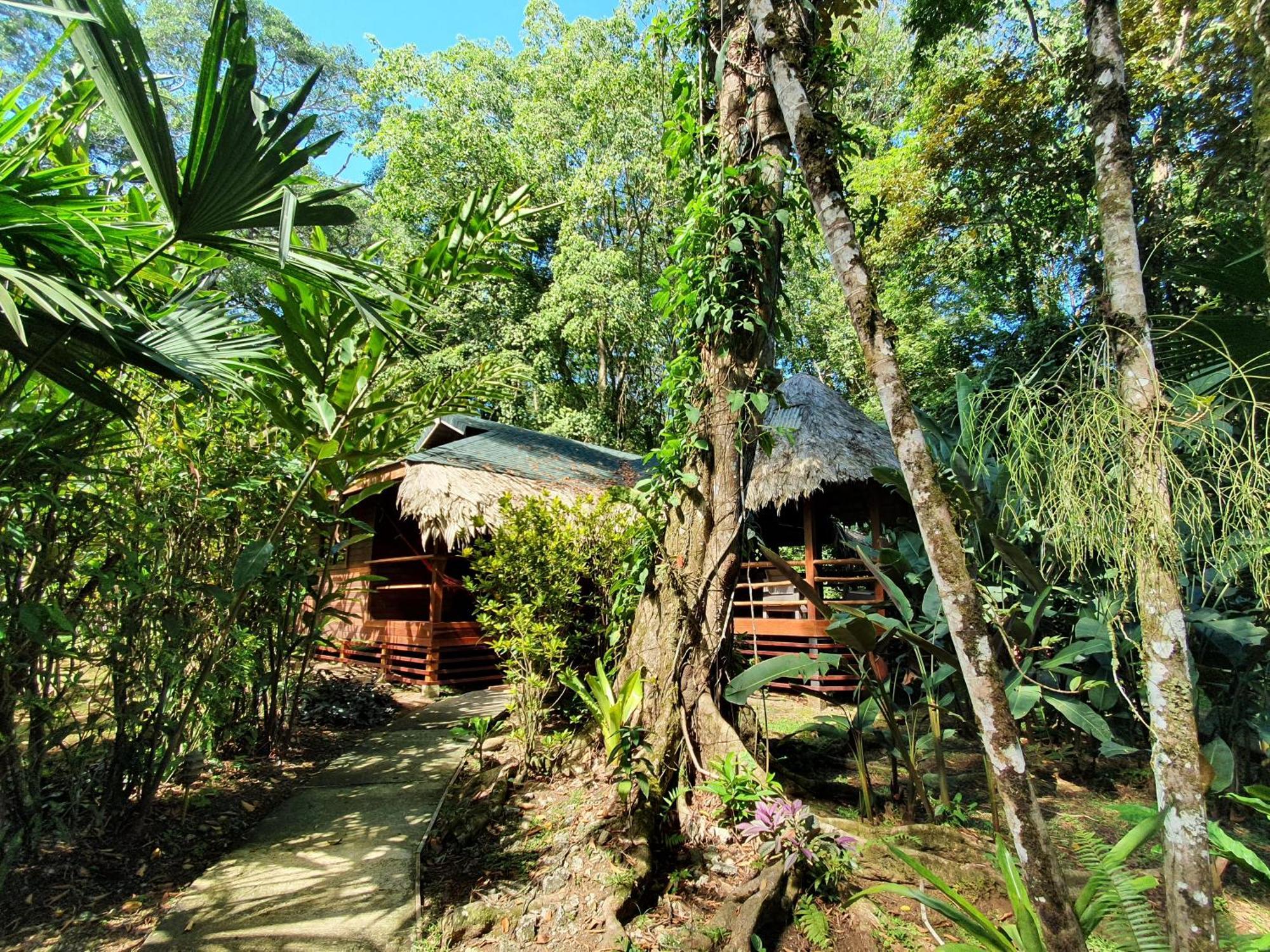 Cariblue And Jungle Hotel Puerto Viejo de Talamanca