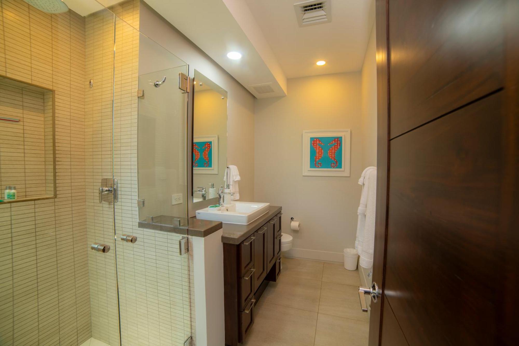 3 Bdr Ocean View Miramar 2d By In Cr * Jaco