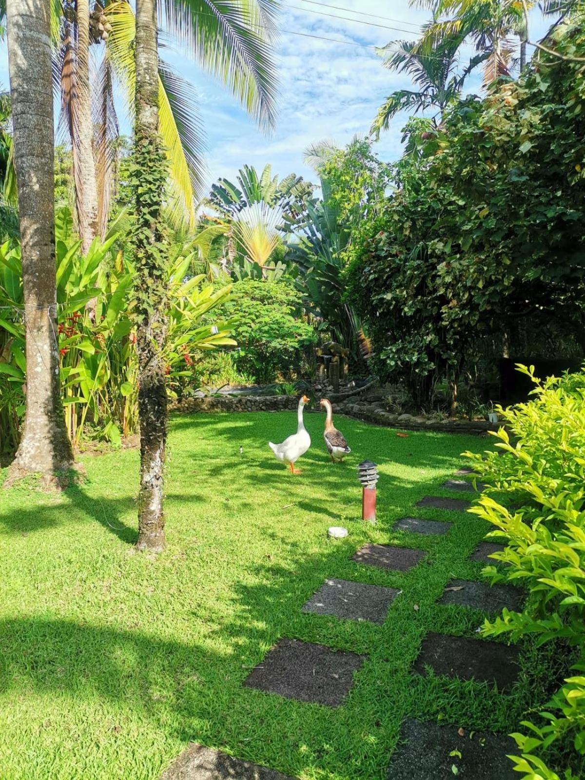 Hotel Diuwak Dominical