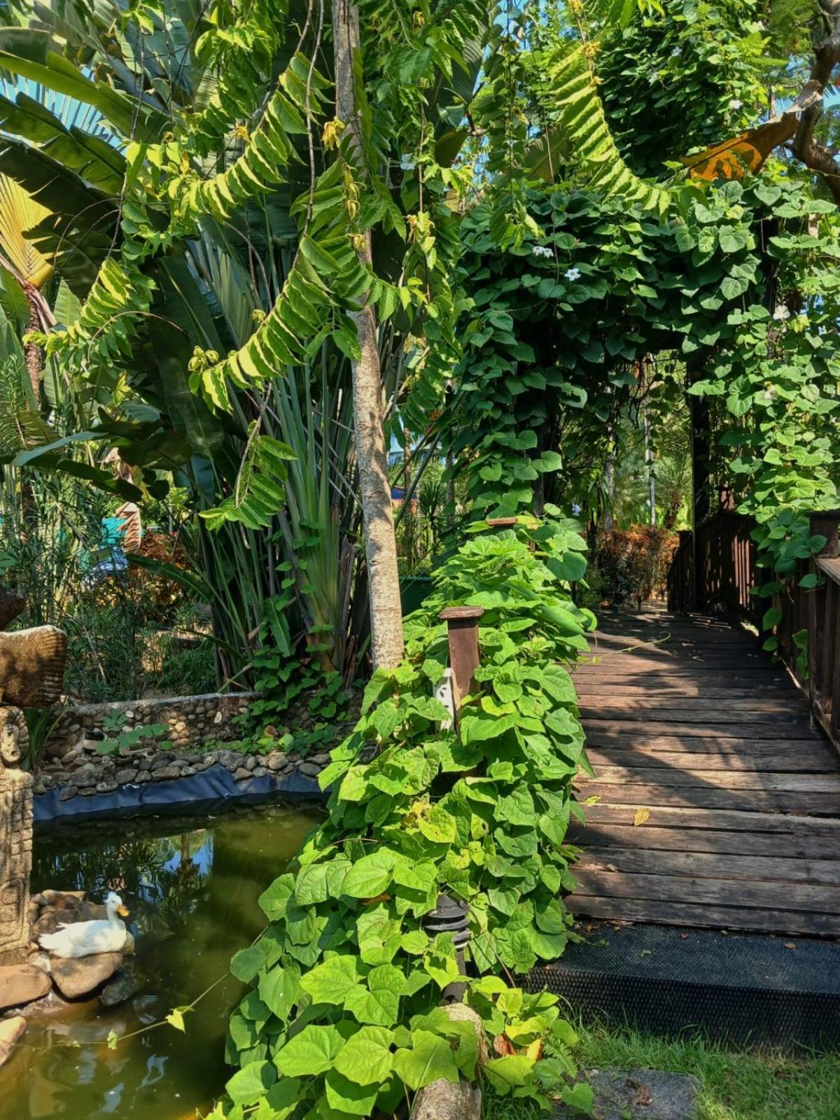 Hotel Diuwak 3*