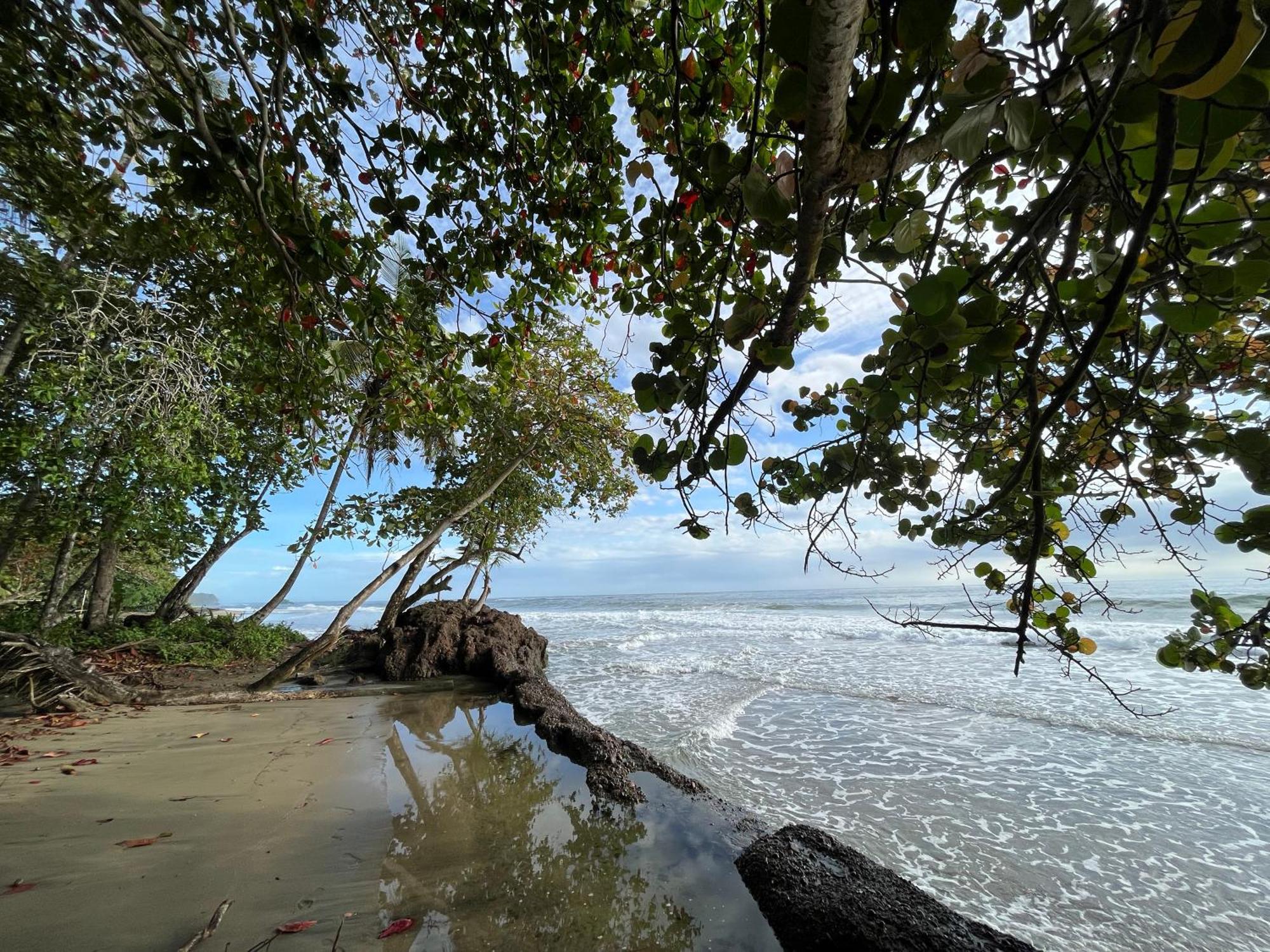 Namu Garden & (adults Only) 5* Puerto Viejo de Talamanca