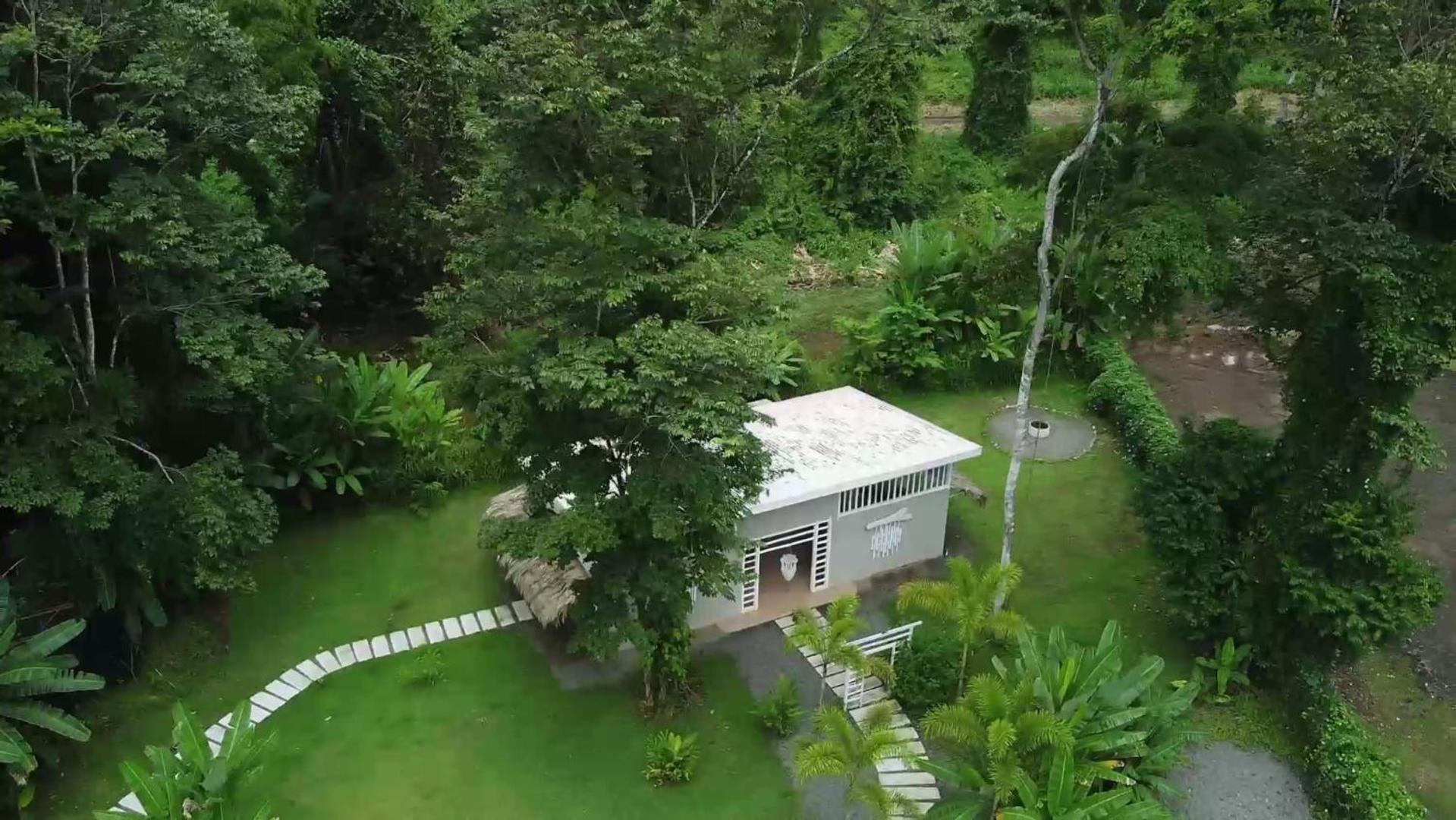 Lodge Sonora Jungle & Yoga Retreat Puerto Viejo de Talamanca