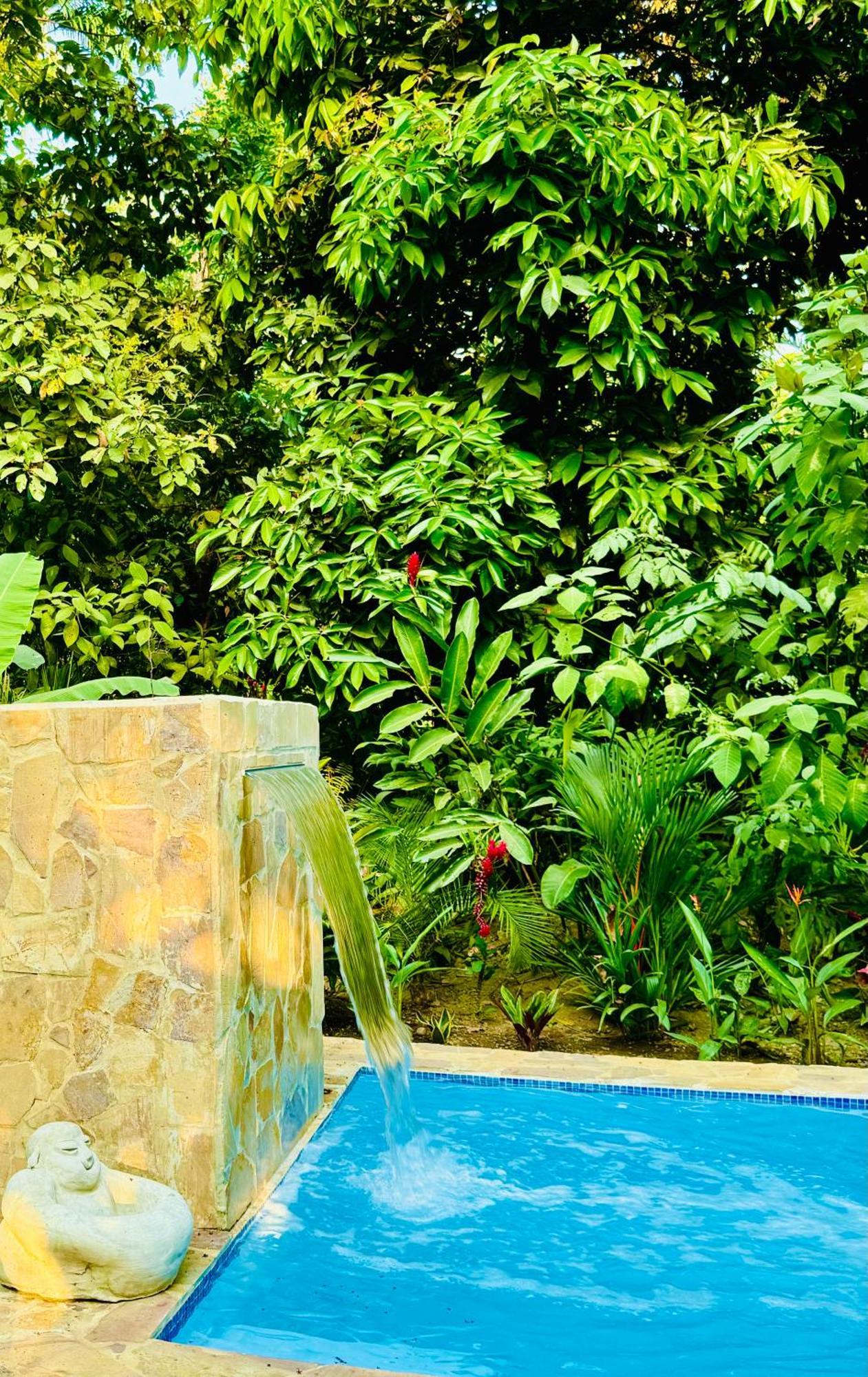Villa Private Villa, Pool, Hot Jacuzzi In Puerto Viejo *