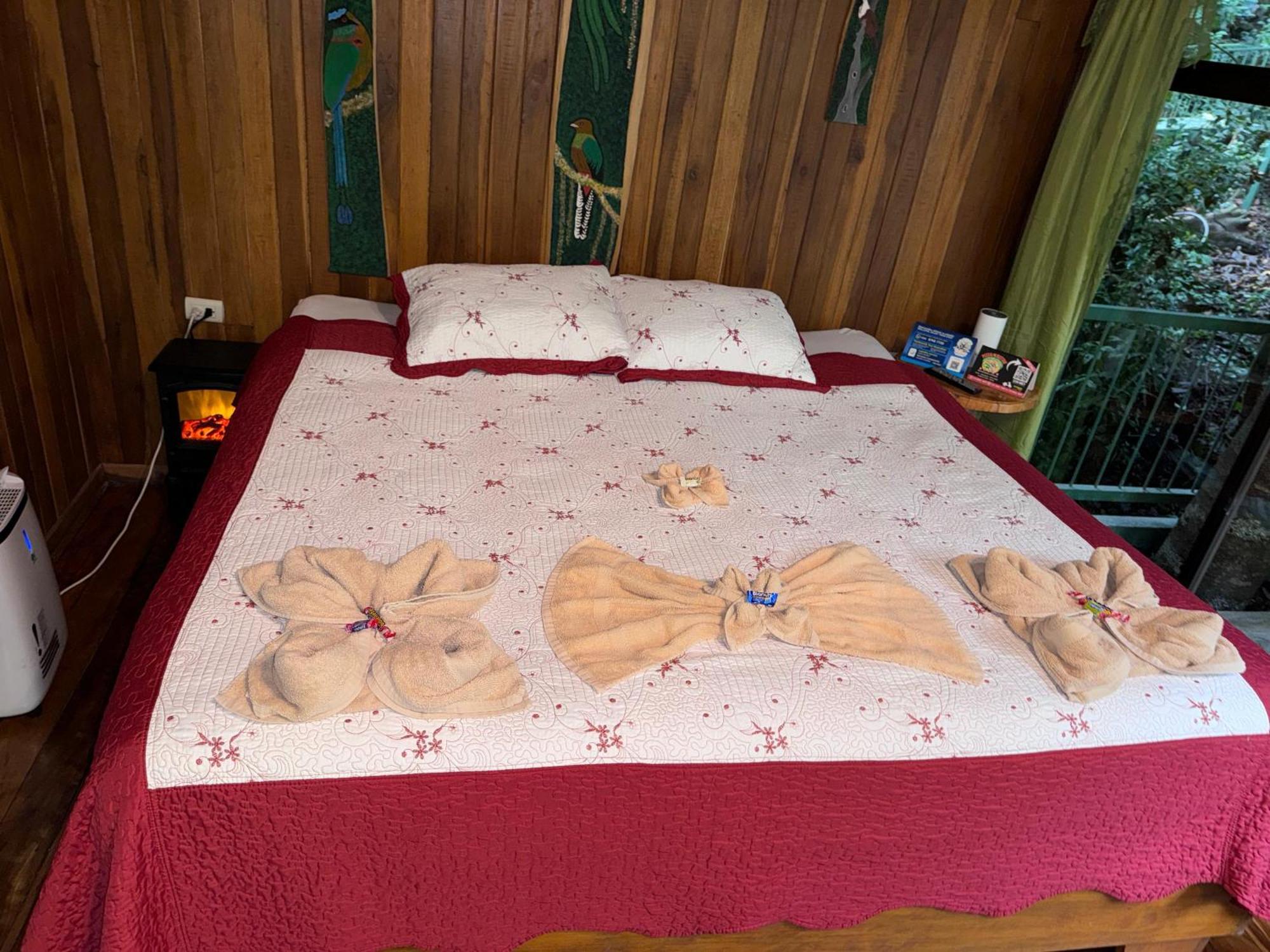 Tree House Bosque Nuboso Campsite *