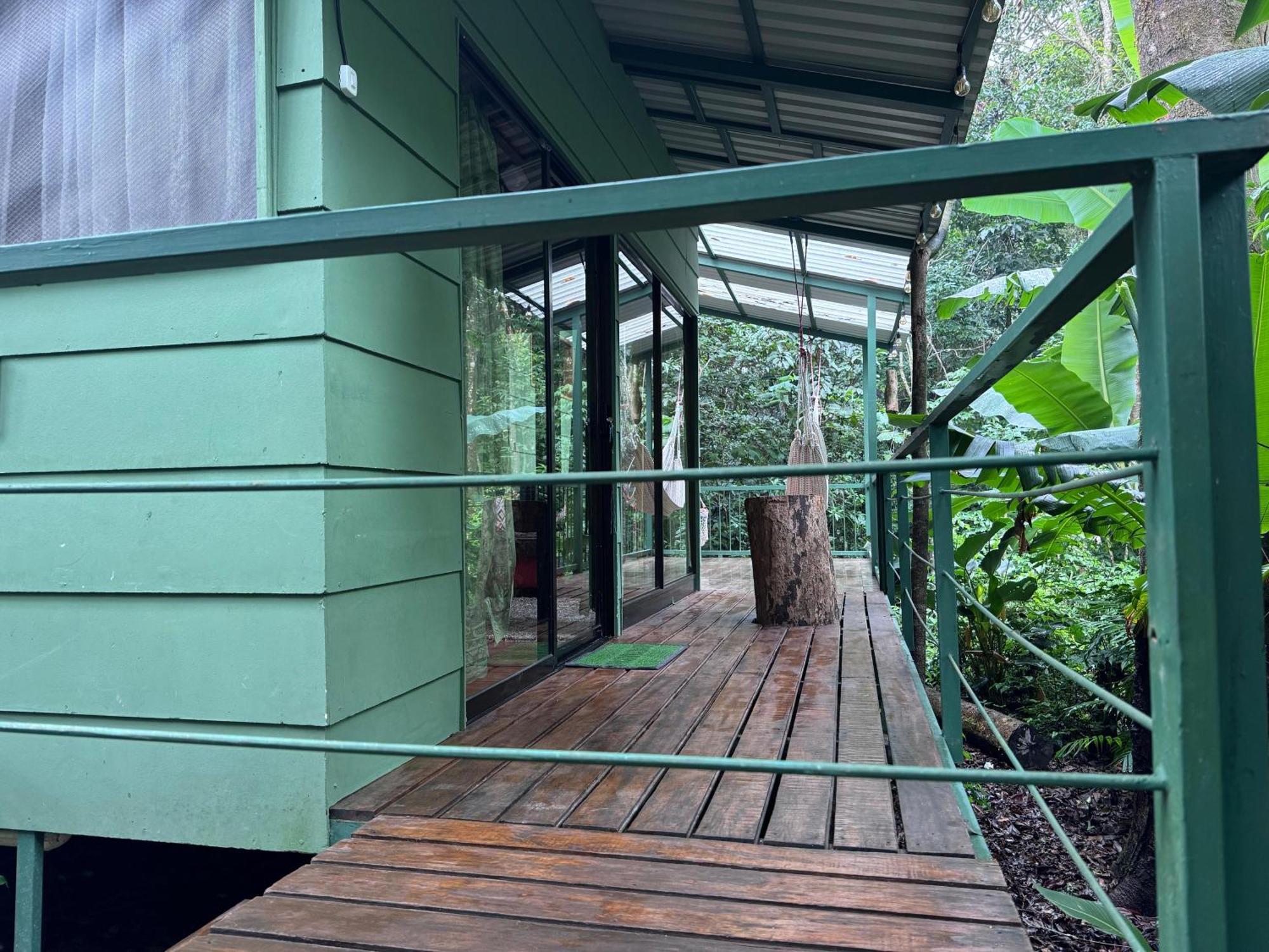 Tree House Bosque Nuboso *