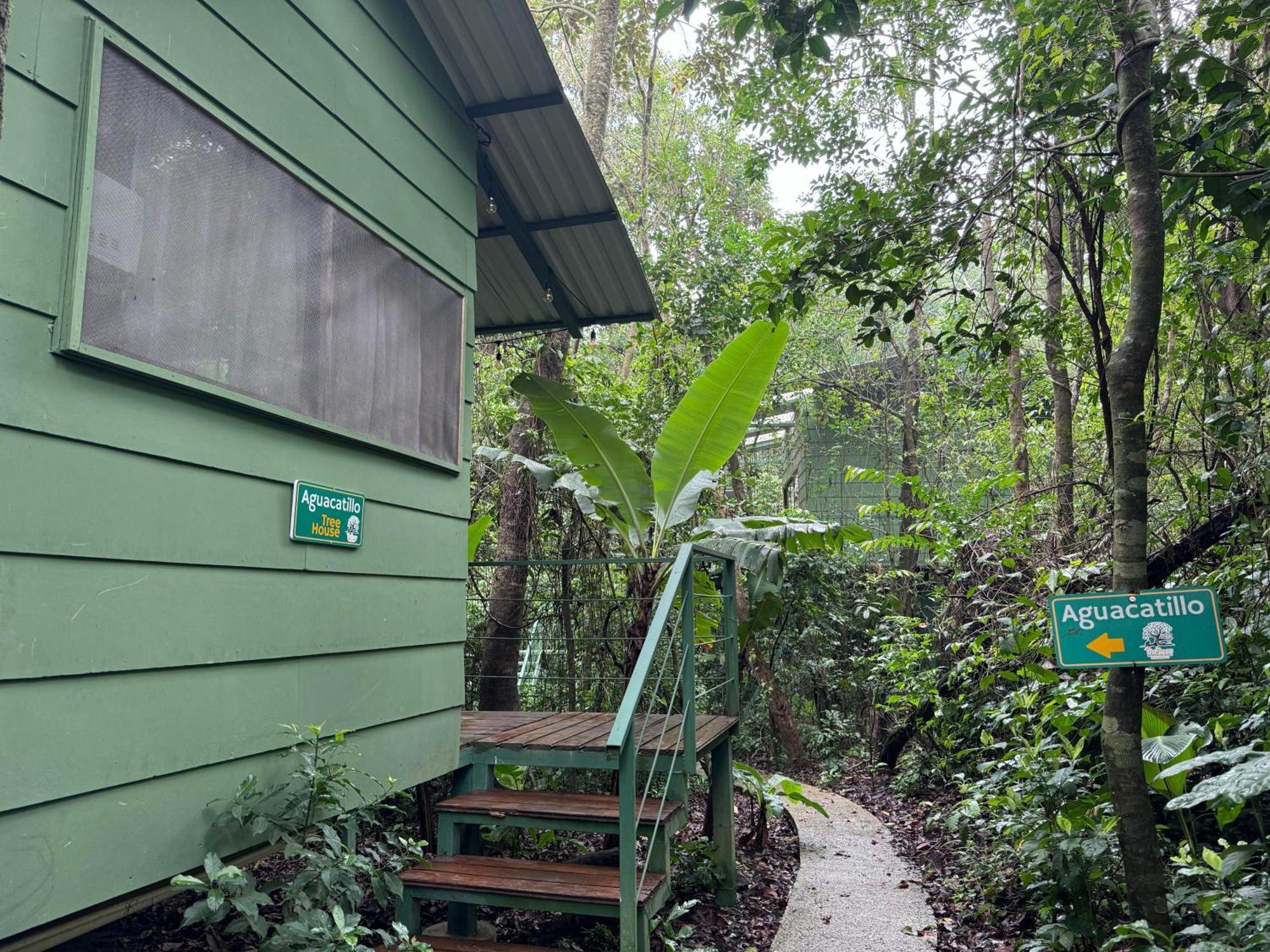Tree House Bosque Nuboso Monteverde