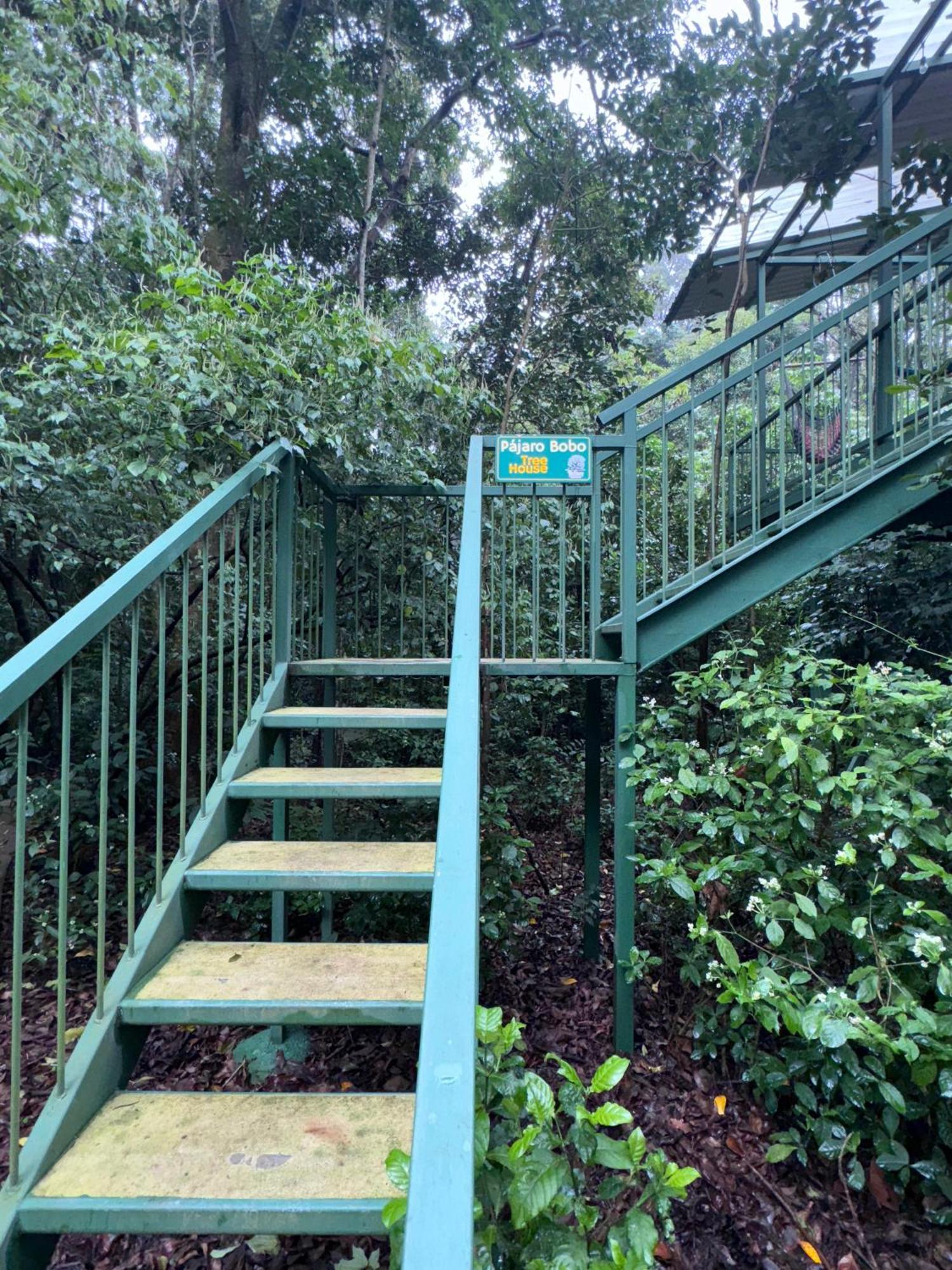 Campsite Tree House Bosque Nuboso Monteverde