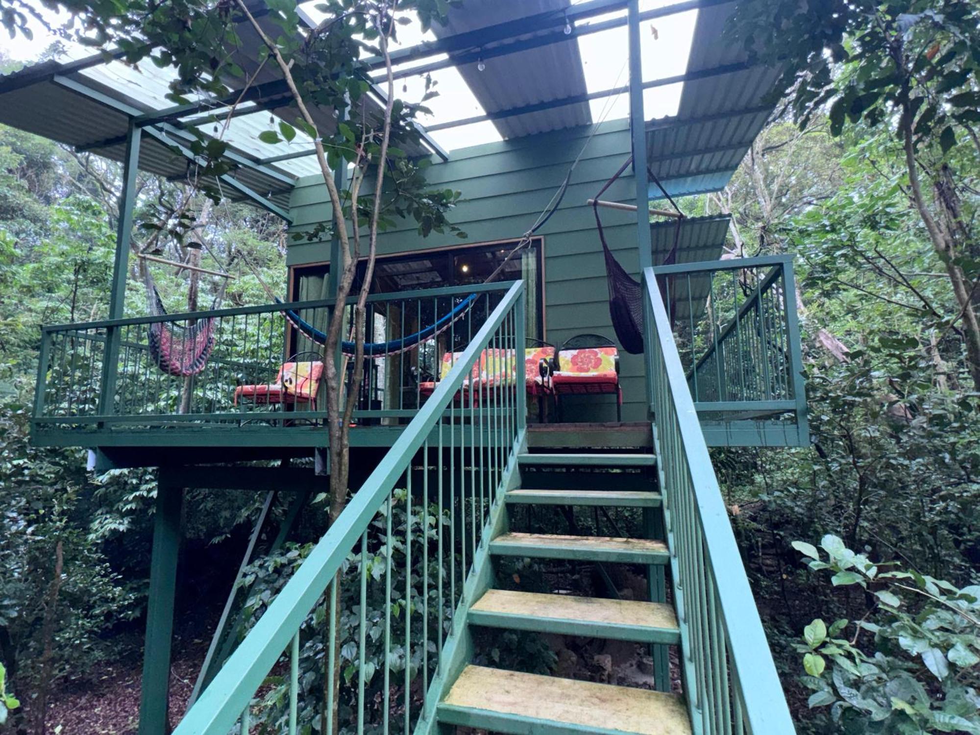Tree House Bosque Nuboso