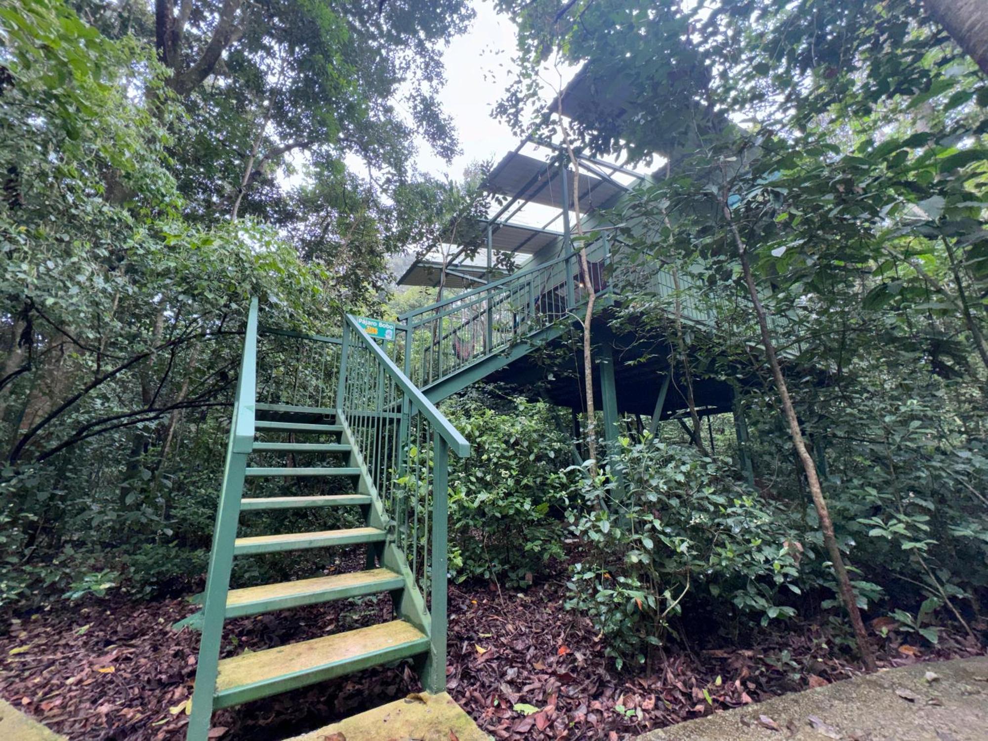 Tree House Bosque Nuboso Campsite
