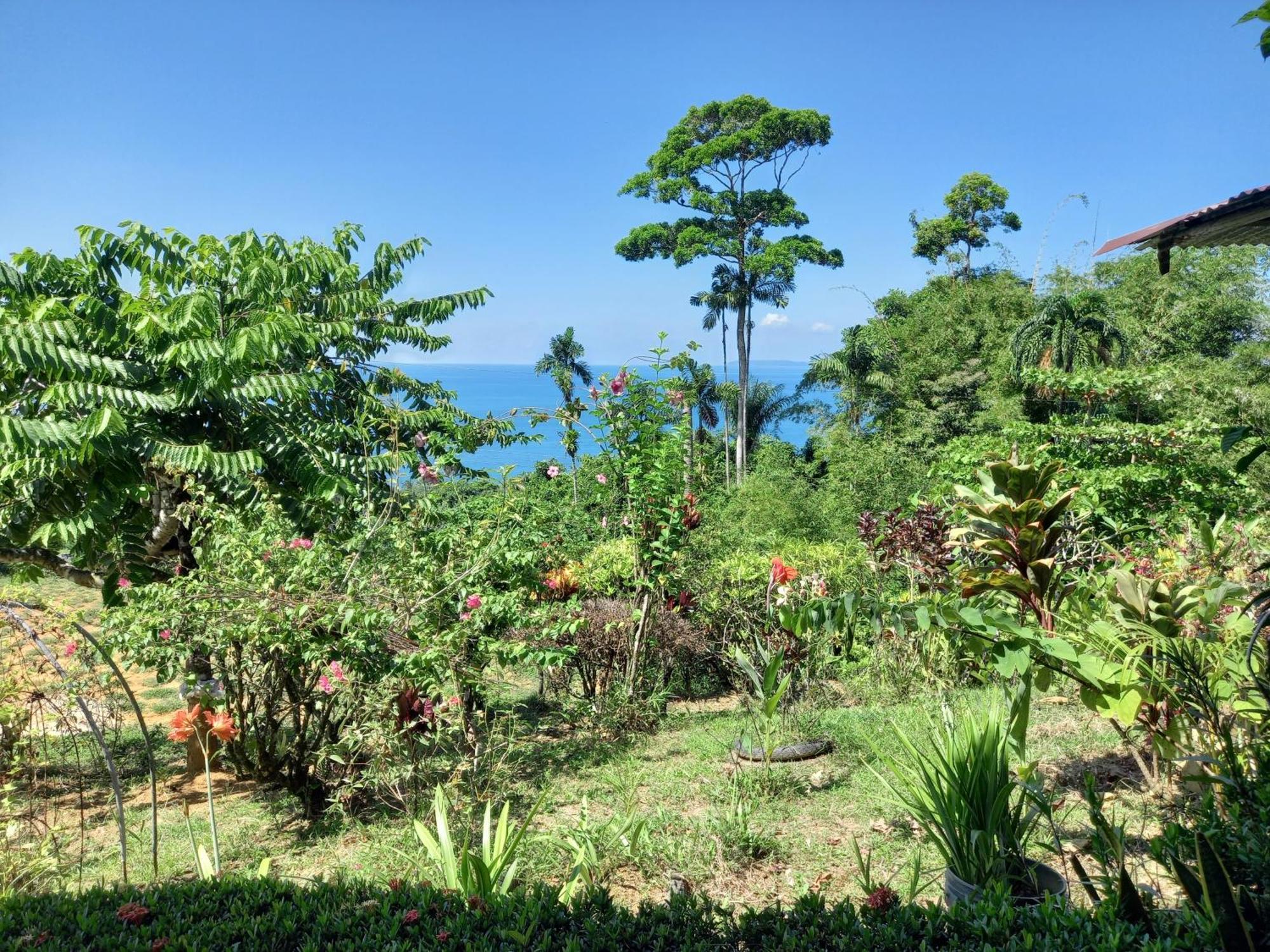 Bella Vista Corcovado