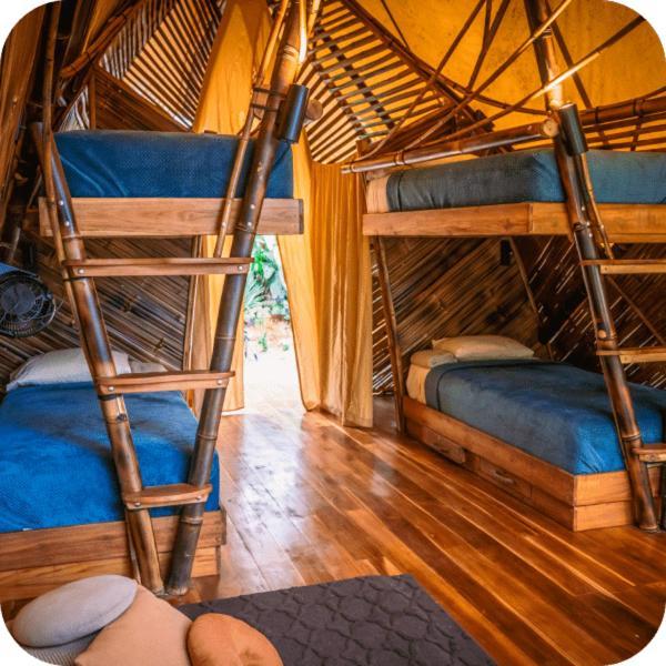 Jungle Gayborhood - Lgbtq Boutique And Retreat Hotel San Luis (Osa, Puntarenas)