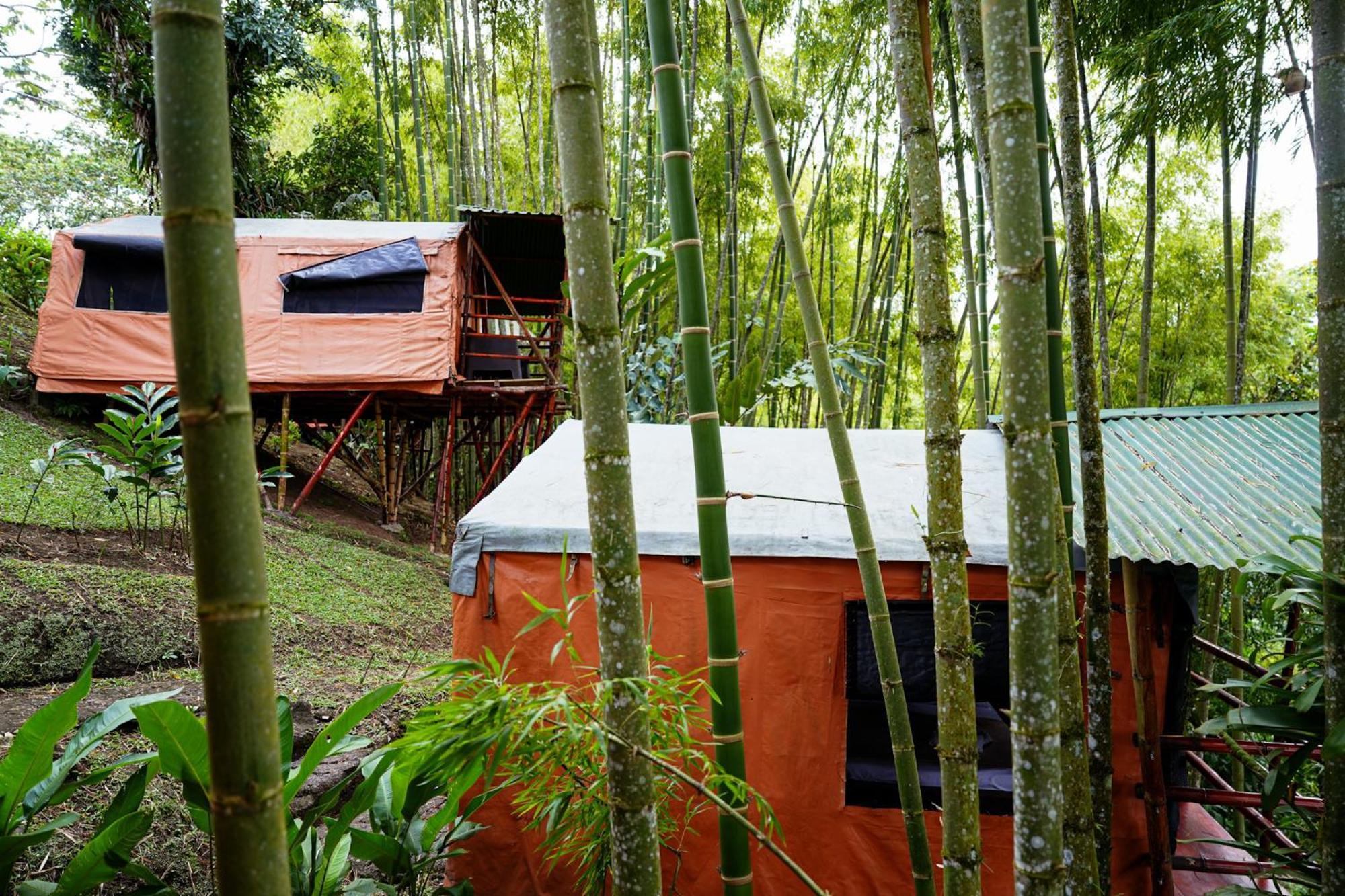 Essence Arenal & Yoga * El Castillo