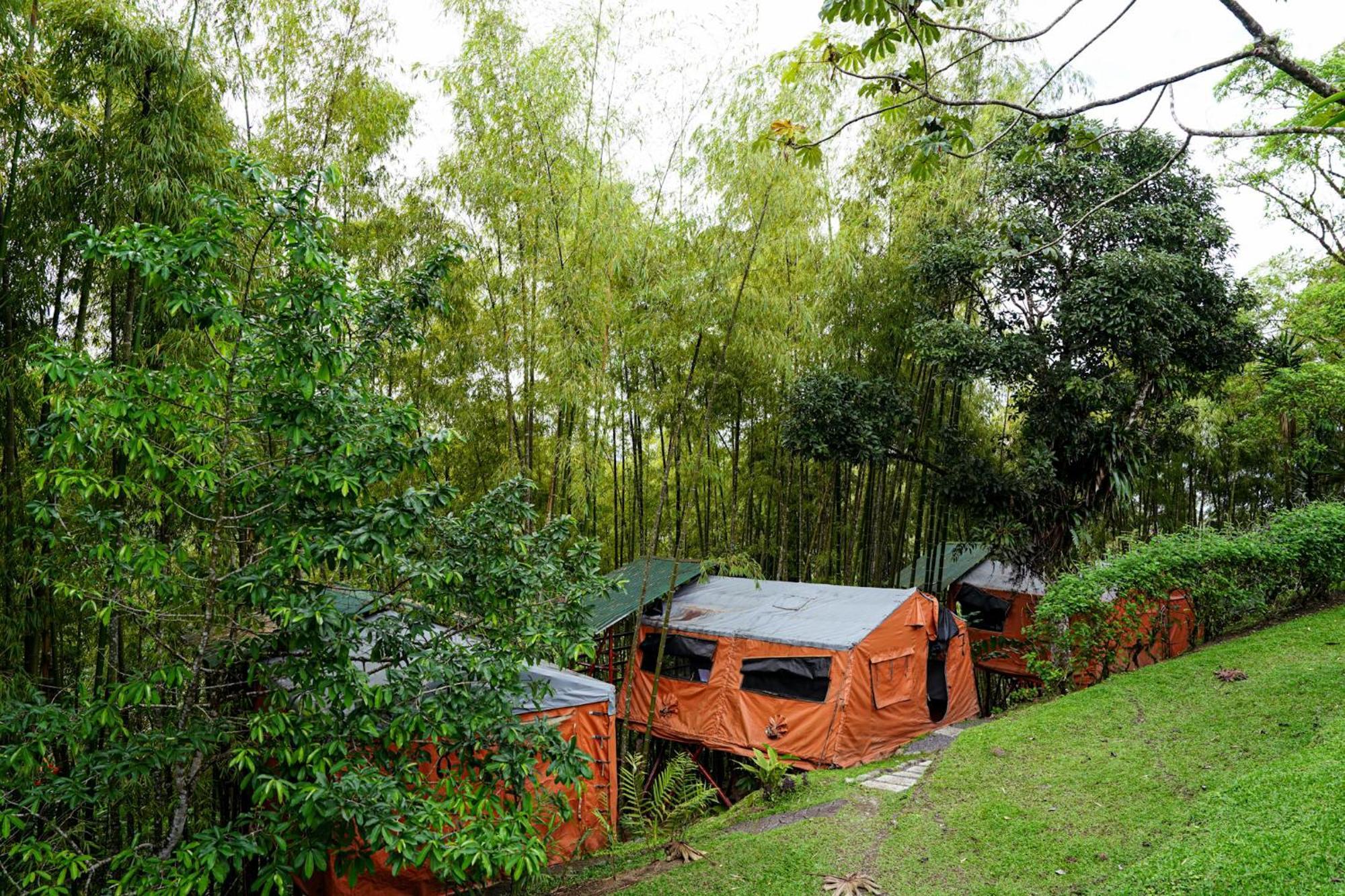 Essence Arenal & Yoga Lodge *
