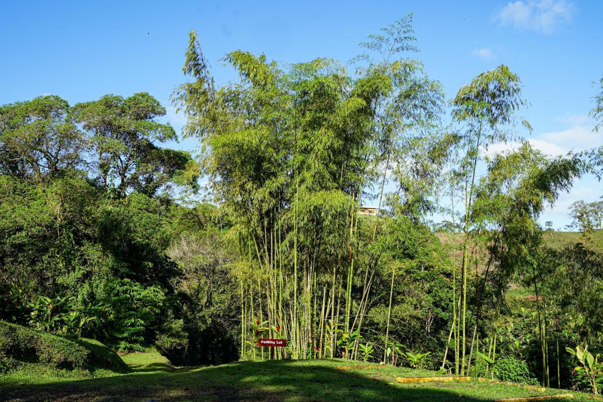 Lodge Essence Arenal & Yoga